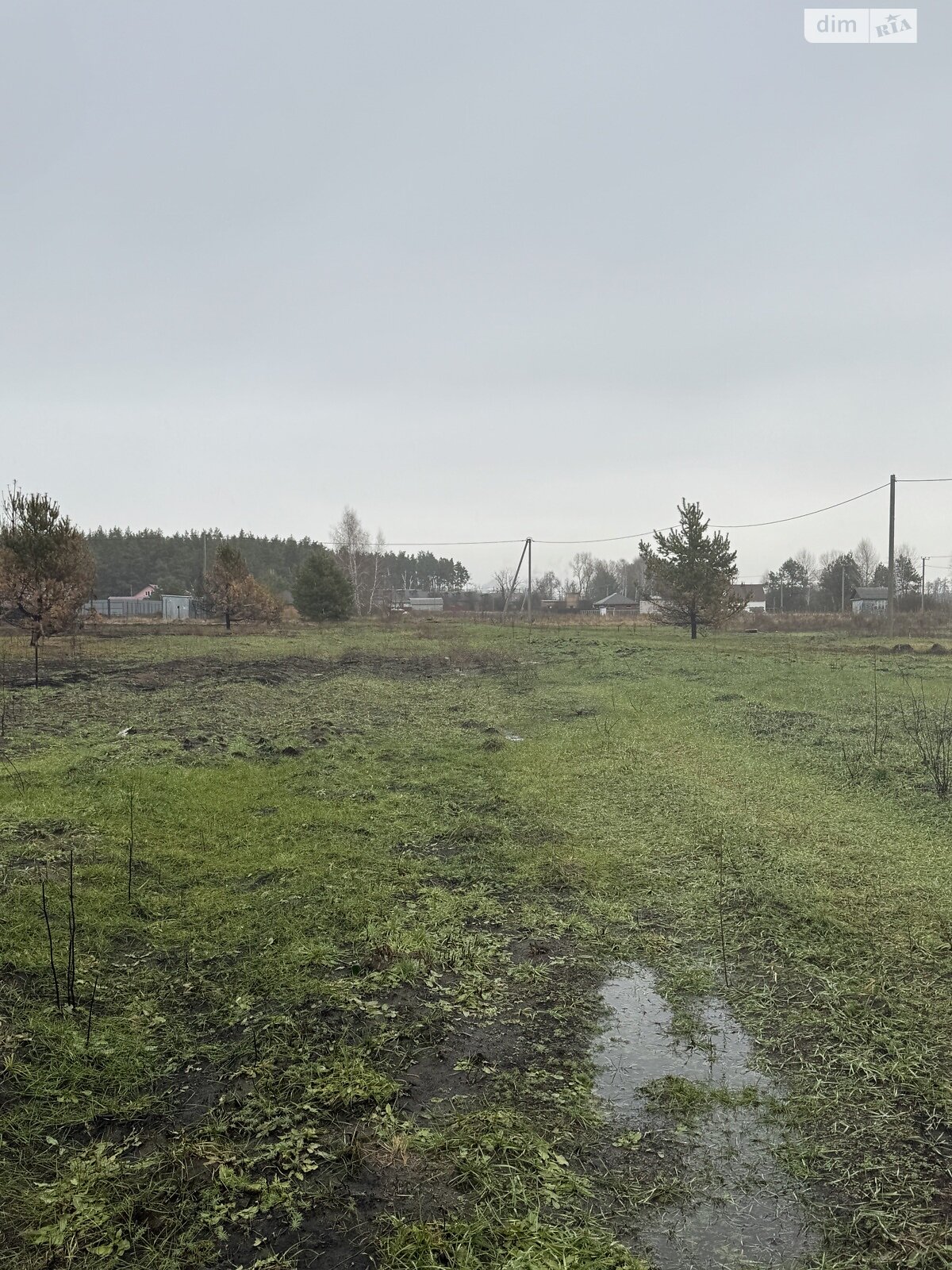 Земельна ділянка сільськогосподарського призначення в Рожнах, площа 10 соток фото 1