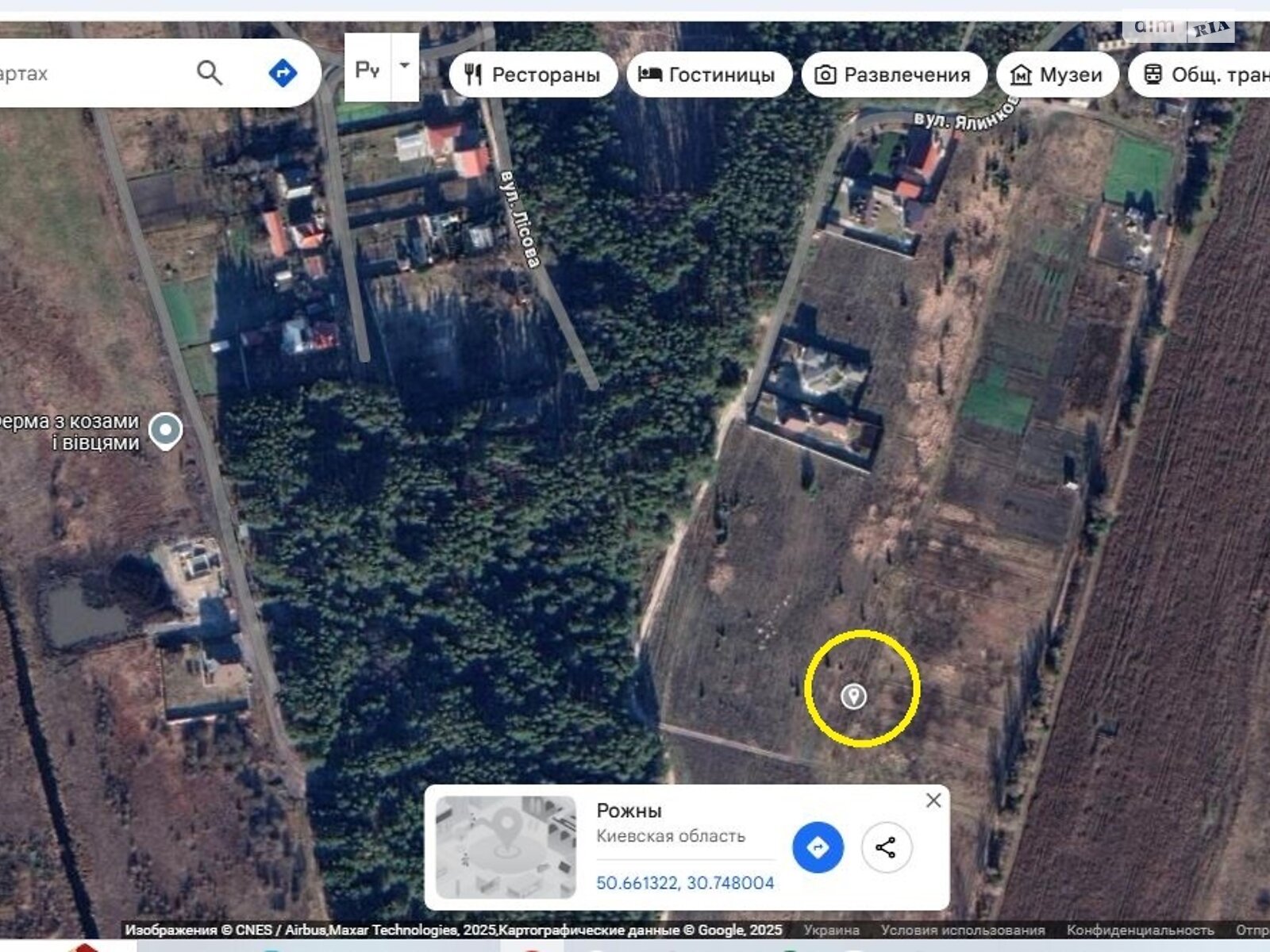 Земельна ділянка сільськогосподарського призначення в Рожнах, площа 10 соток фото 1 Земельна ділянка сільськогосподарського призначення в Рожнах, площа 10 соток фото 1