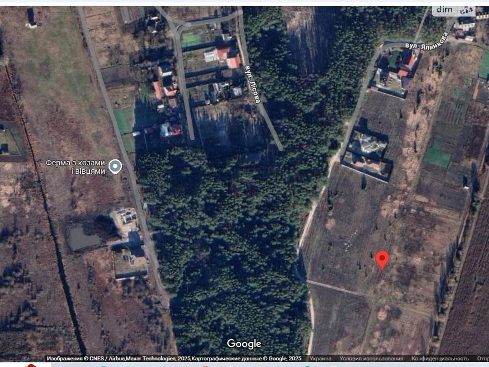 Земельна ділянка сільськогосподарського призначення в Рожнах, площа 10 соток фото 1 Земельна ділянка сільськогосподарського призначення в Рожнах, площа 10 соток фото 1