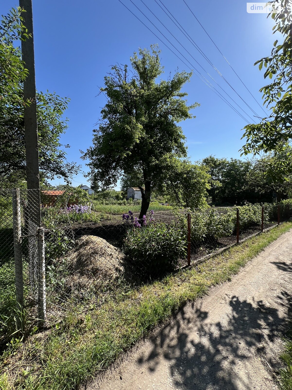 Земельна ділянка сільськогосподарського призначення в Романівці, площа 6 соток фото 1 Земельна ділянка сільськогосподарського призначення в Романівці, площа 6 соток фото 1