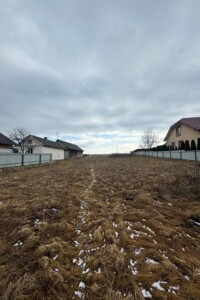 Земельный участок сельскохозяйственного назначения в Росельной, площадь 51 сотка фото 2