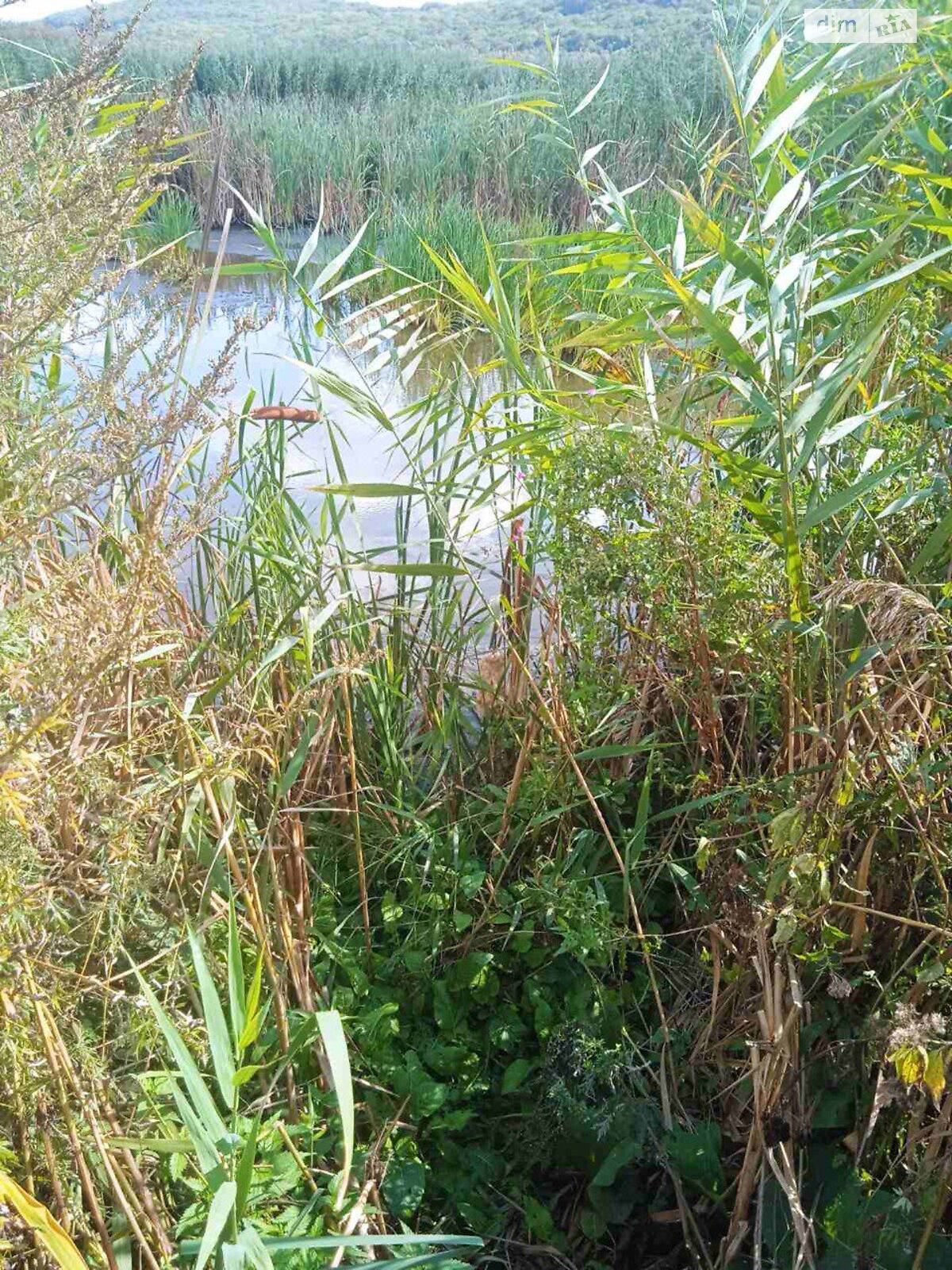 Земельна ділянка сільськогосподарського призначення в Рошновому, площа 4.5 Га фото 1