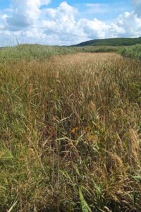 Земельна ділянка сільськогосподарського призначення в Рошновому, площа 4.5 Га фото 2