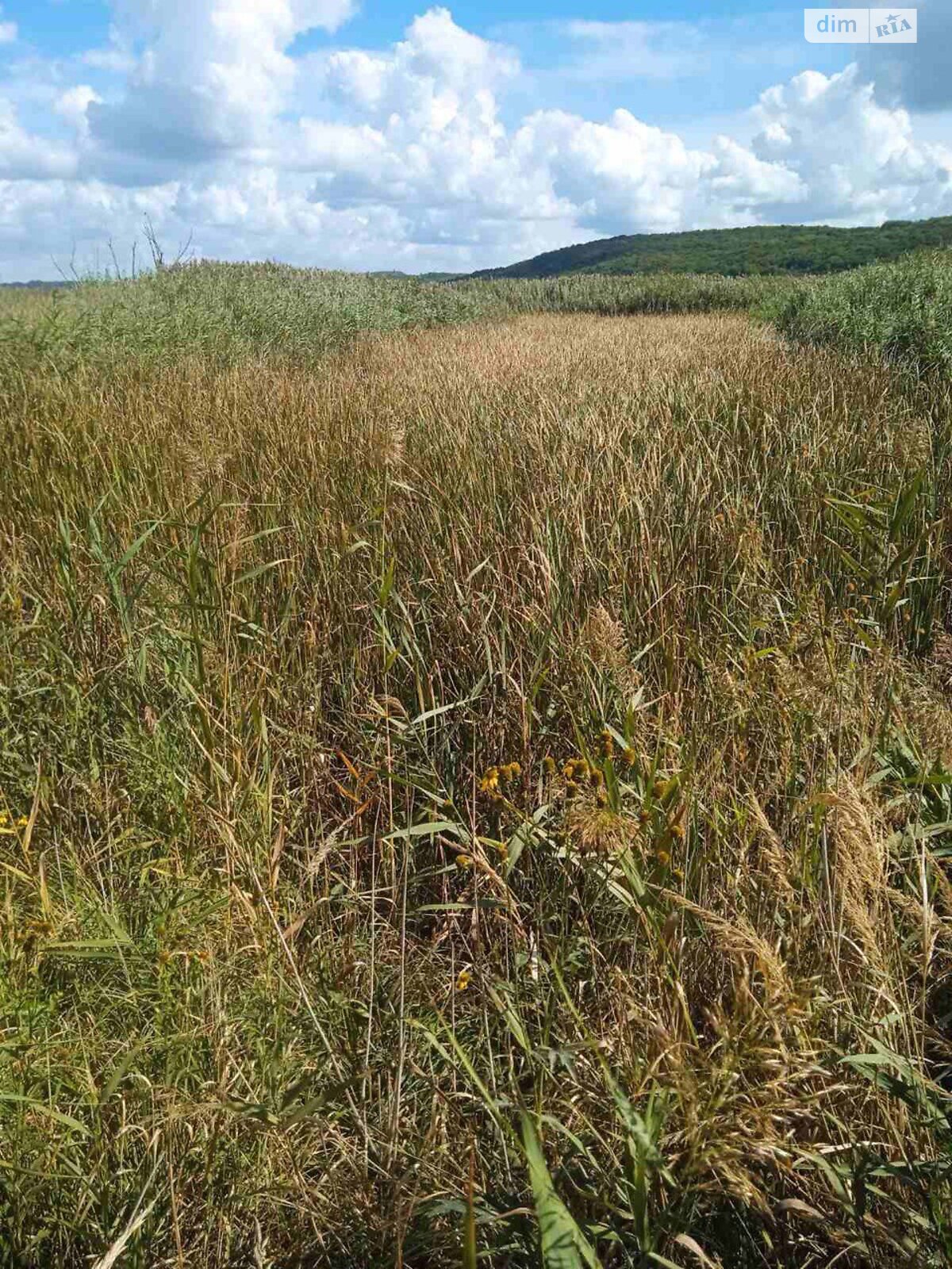 Земельна ділянка сільськогосподарського призначення в Рошновому, площа 4.5 Га фото 1