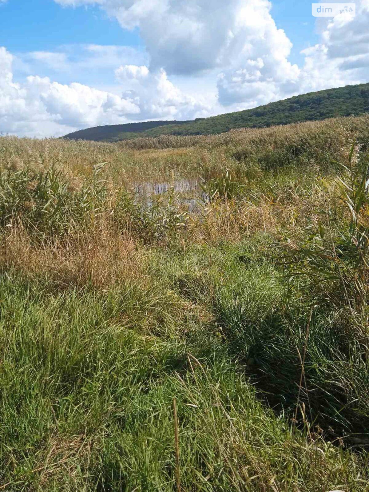 Земельна ділянка сільськогосподарського призначення в Рошновому, площа 4.5 Га фото 1