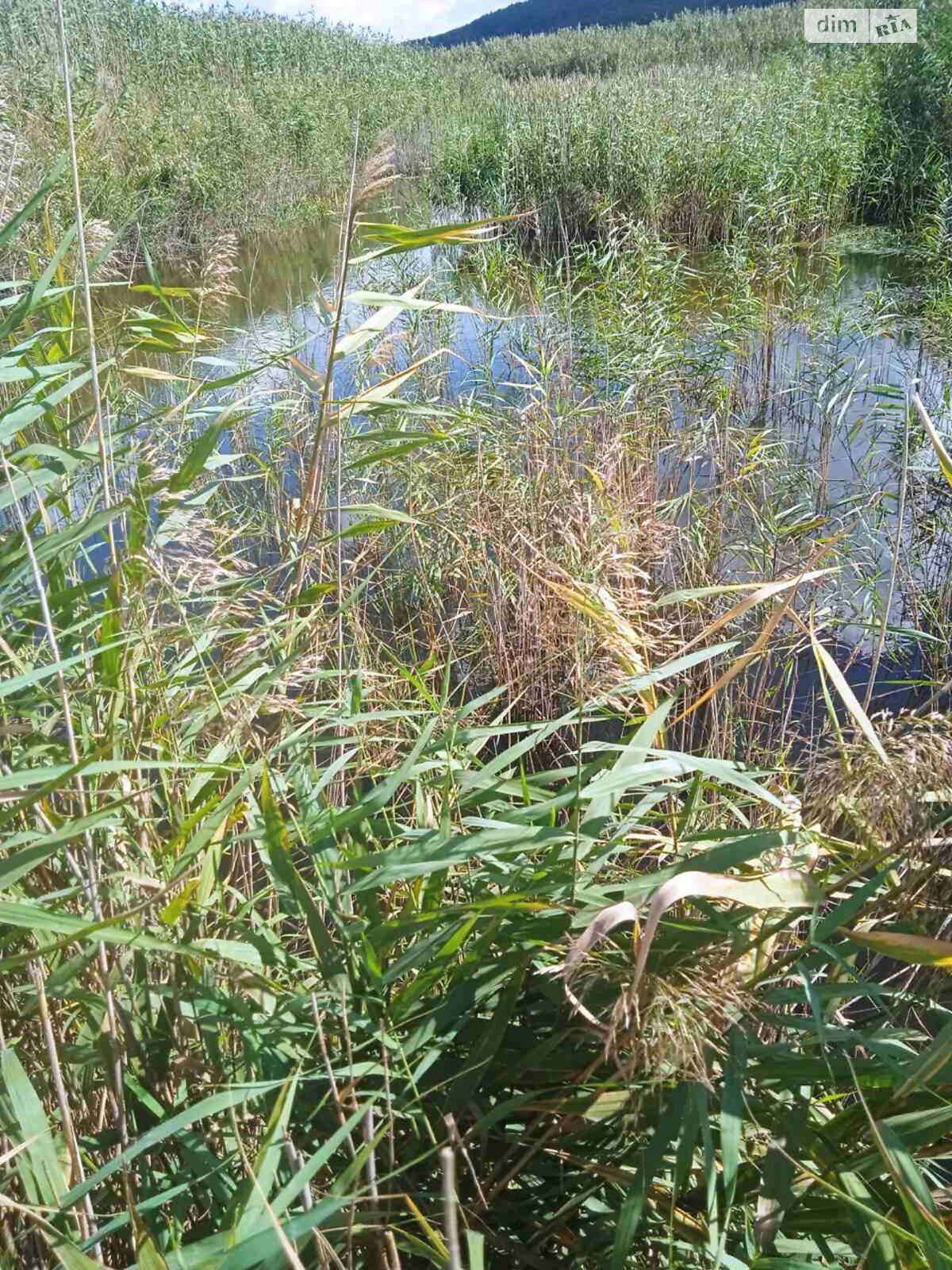 Земельна ділянка сільськогосподарського призначення в Рошновому, площа 4.5 Га фото 1