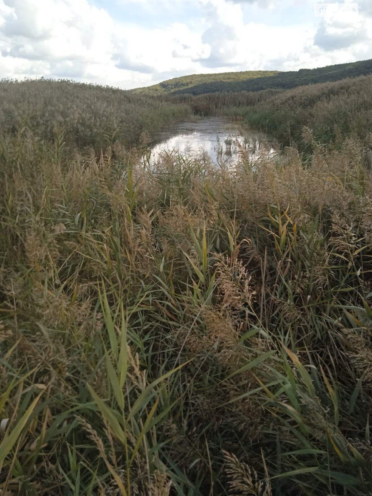 Земельна ділянка сільськогосподарського призначення в Рошновому, площа 4.5 Га фото 1