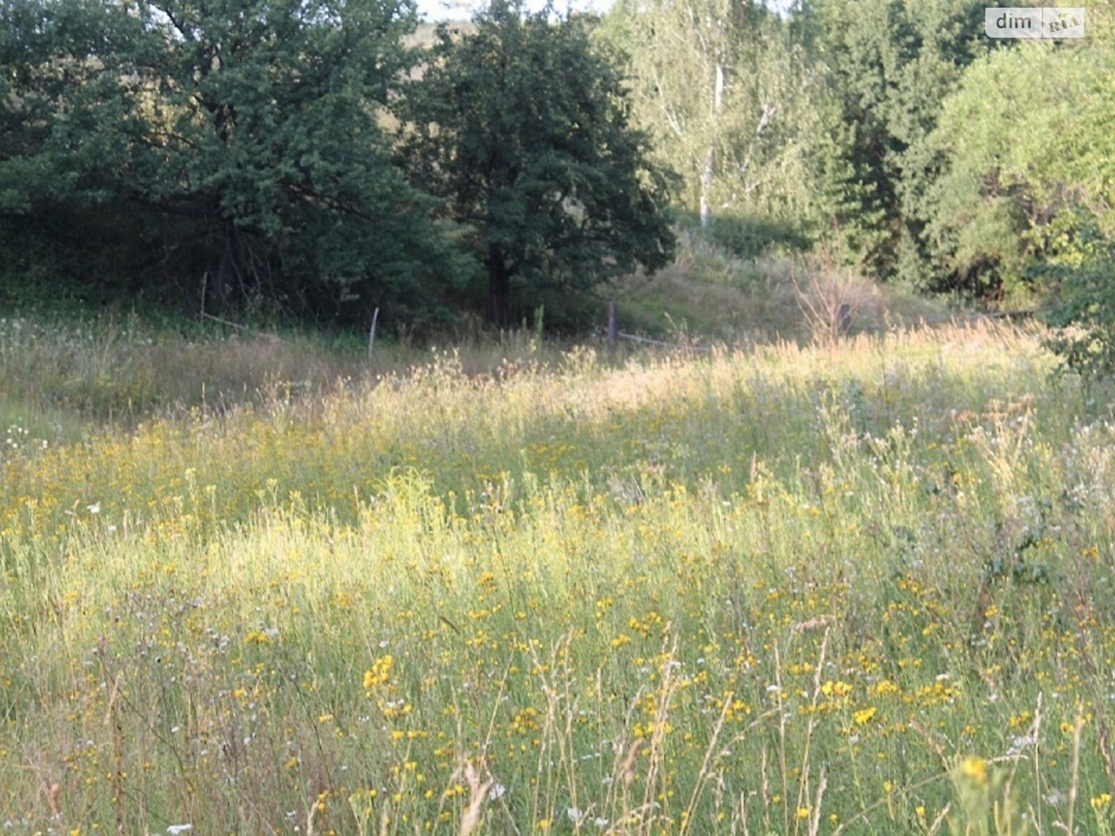 Земельный участок сельскохозяйственного назначения в Рославичах, площадь 9 соток фото 1