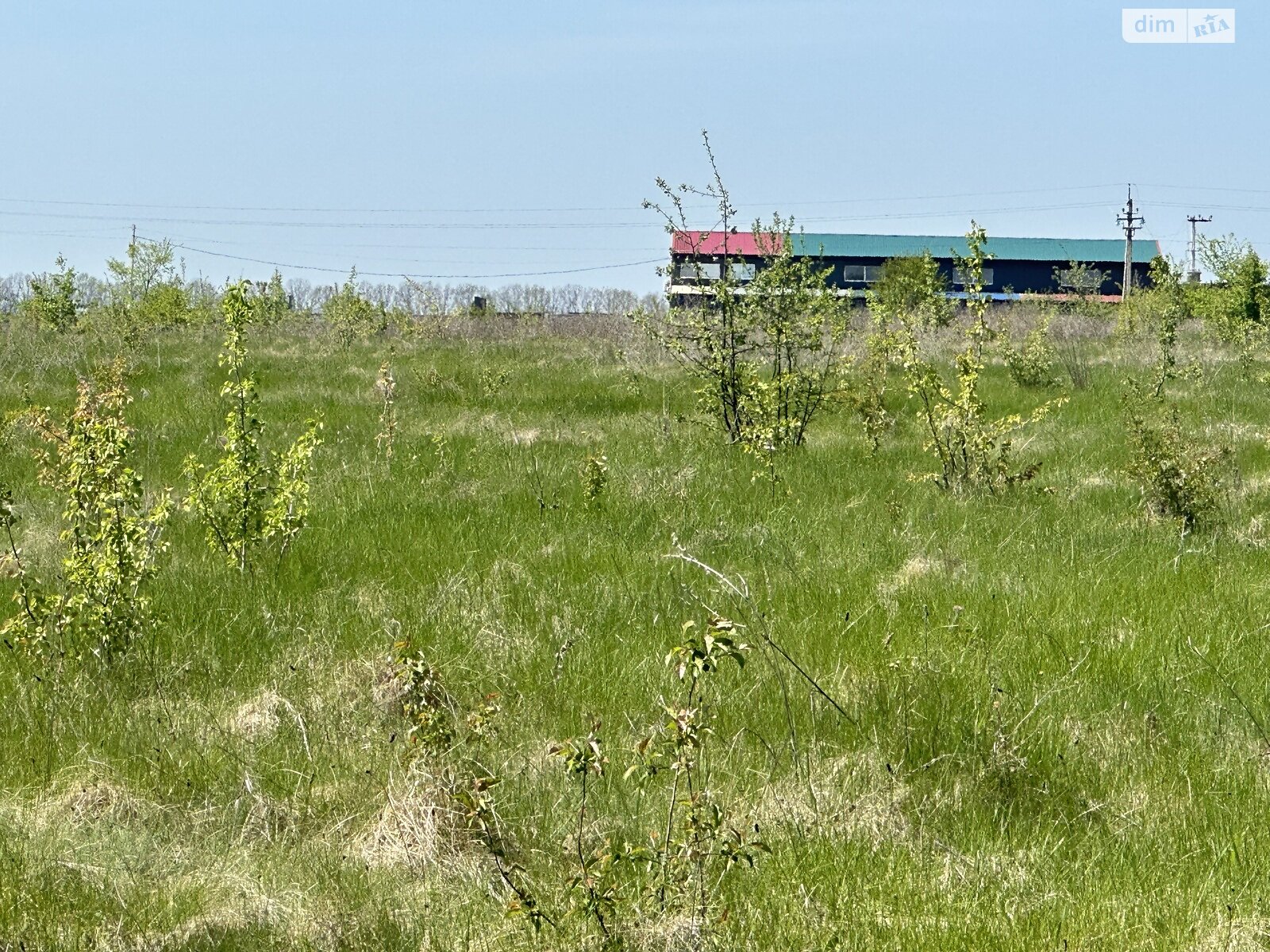 Земельна ділянка сільськогосподарського призначення в Ровці, площа 83.74 сотки фото 1 Земельна ділянка сільськогосподарського призначення в Ровці, площа 83.74 сотки фото 1