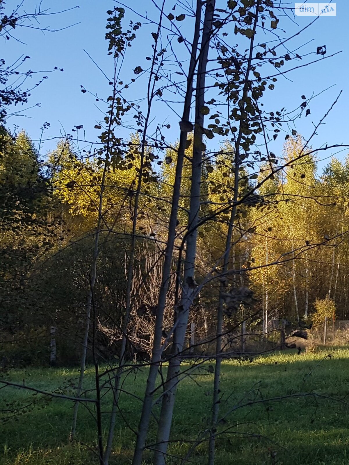 Земельна ділянка сільськогосподарського призначення в Ровжах, площа 10.5 сотки фото 1 Земельна ділянка сільськогосподарського призначення в Ровжах, площа 10.5 сотки фото 1