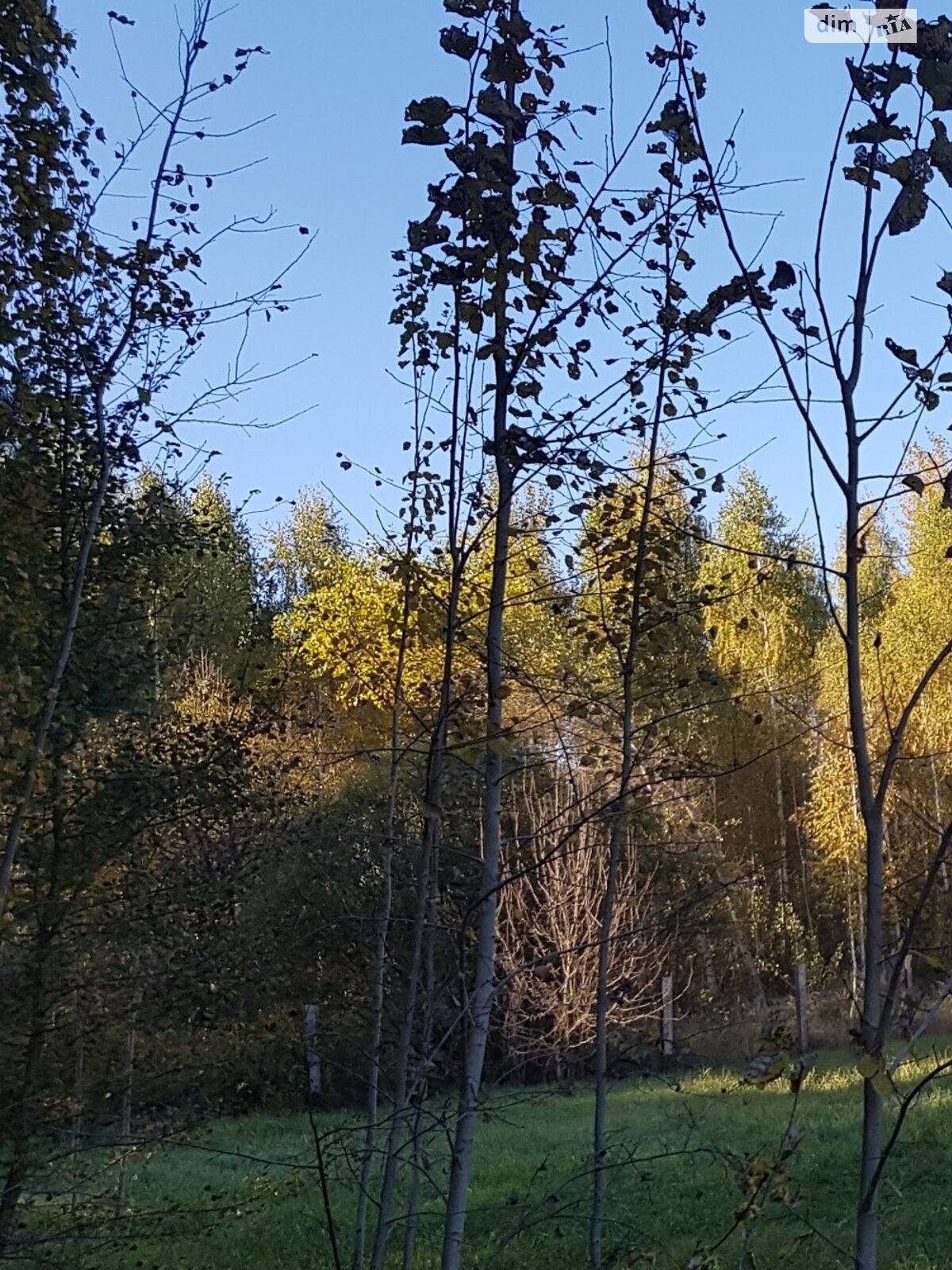 Земельна ділянка сільськогосподарського призначення в Ровжах, площа 10.5 сотки фото 1 Земельна ділянка сільськогосподарського призначення в Ровжах, площа 10.5 сотки фото 1
