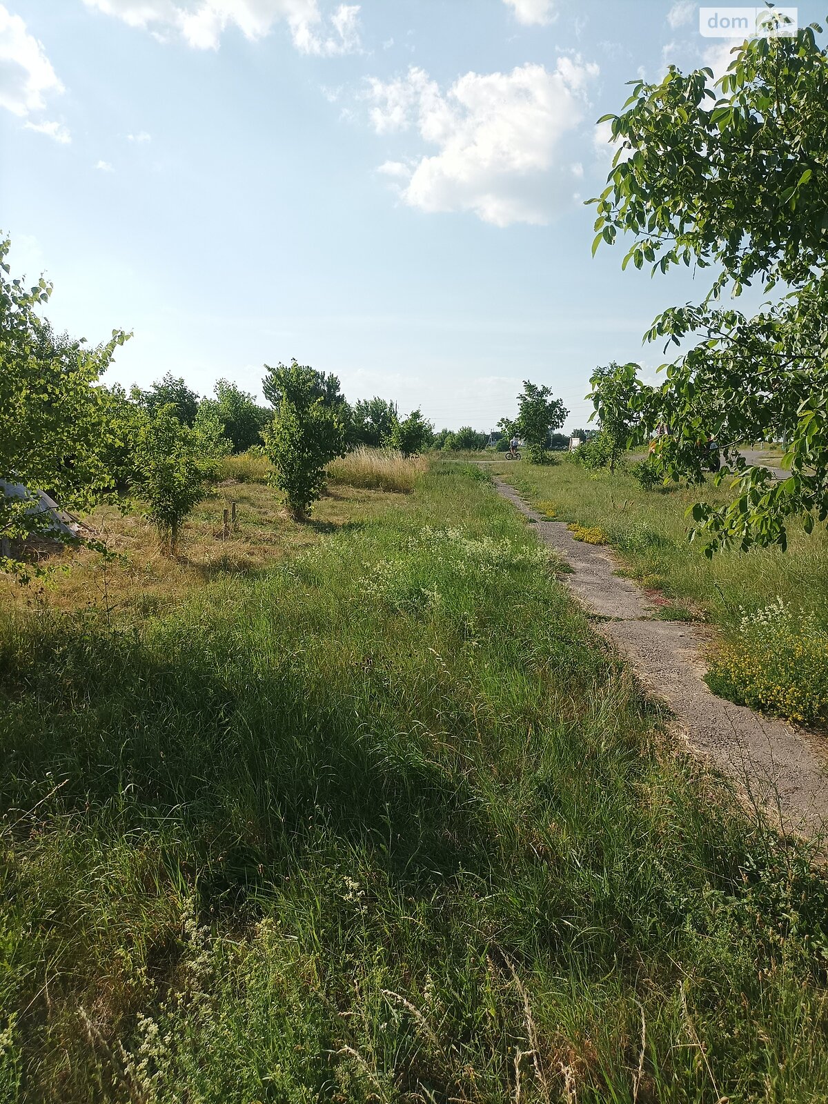 Земля сільськогосподарського призначення в Рівному, район Корнинська, площа 5 соток фото 1