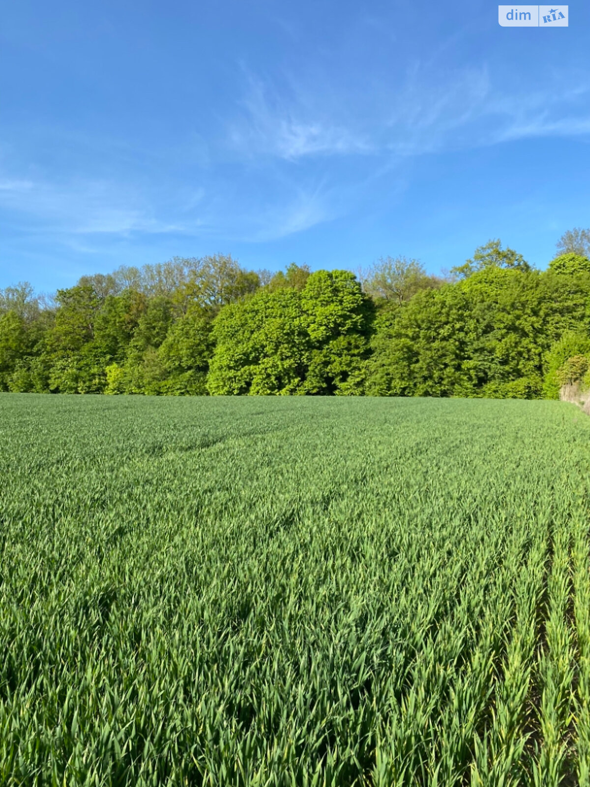 Земля сельскохозяйственного назначения в Ровно, район Мототрек, площадь 12 соток фото 1 Земля сельскохозяйственного назначения в Ровно, район Мототрек, площадь 12 соток фото 1