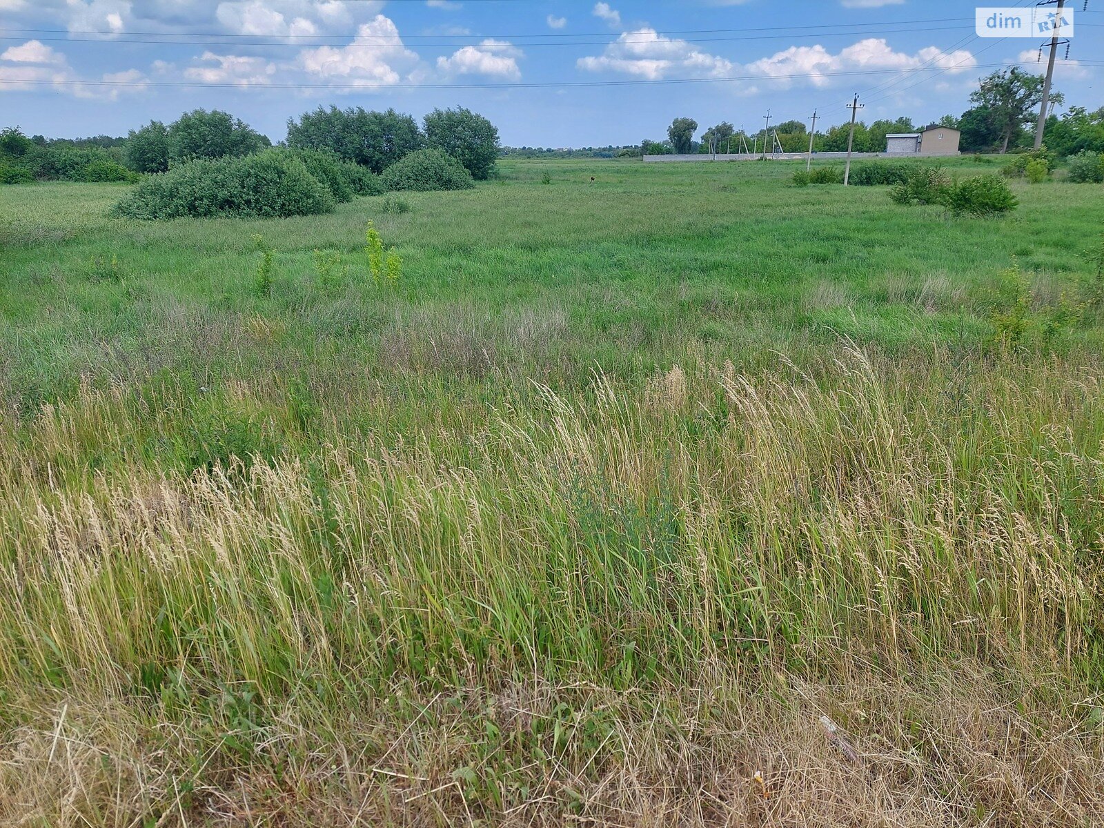 Земля сельскохозяйственного назначения в Ровно, район Новый Двор, площадь 1.8 сотки фото 1
