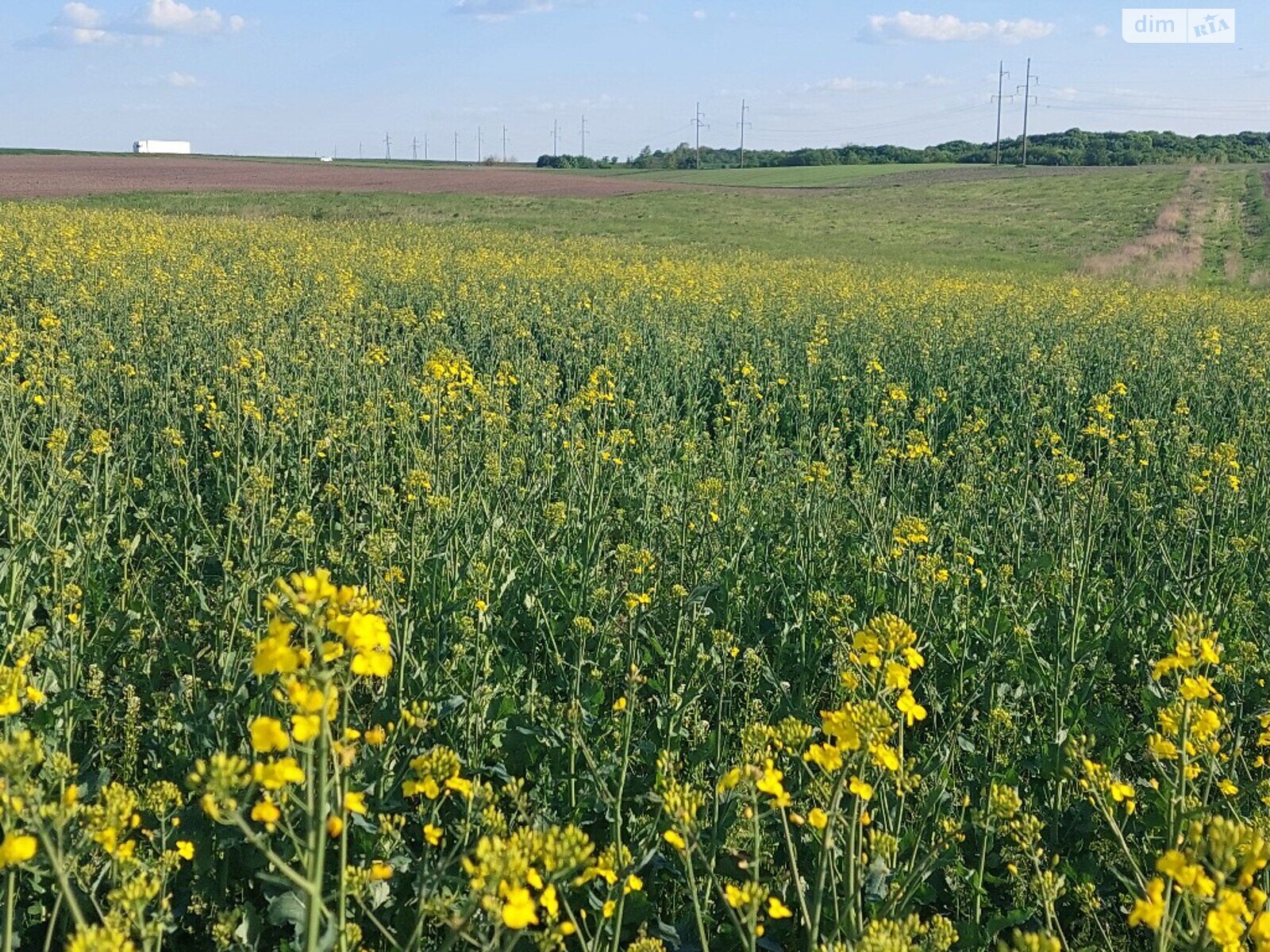 Земля сільськогосподарського призначення в Рівному, район ПМК-100, площа 1 Га фото 1