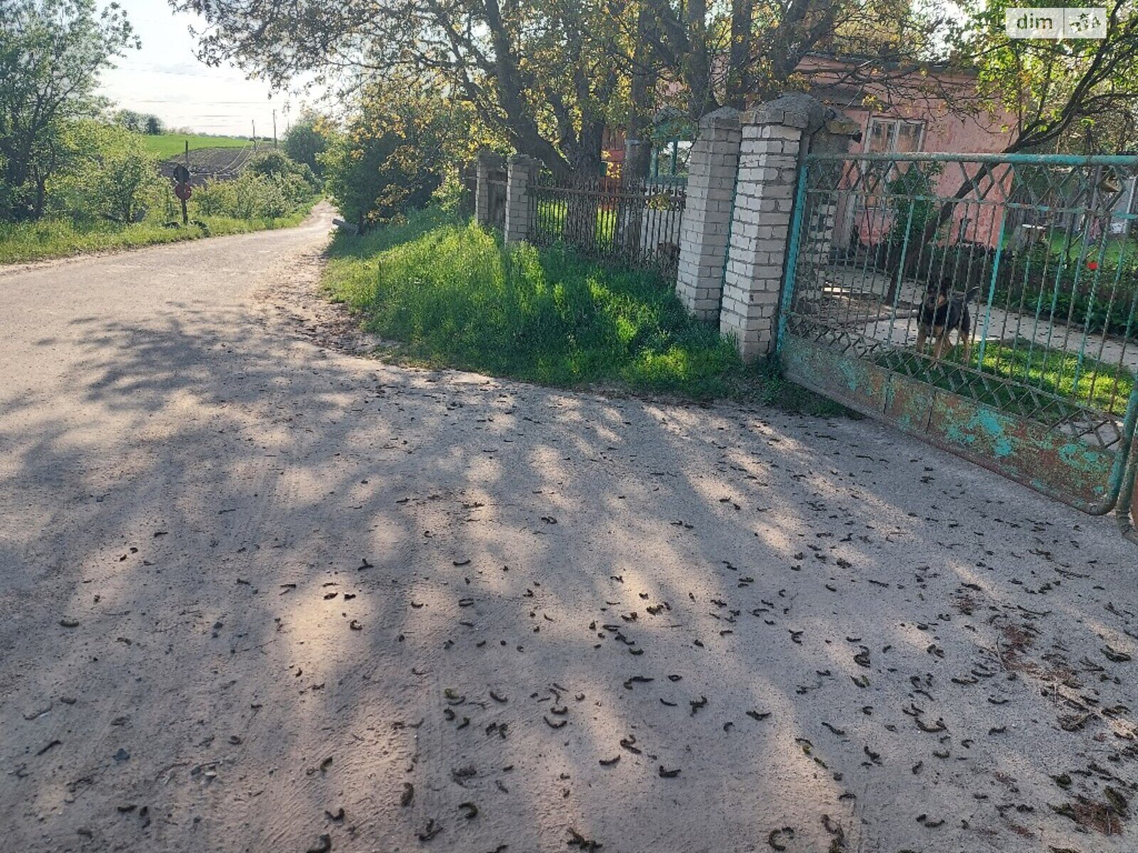 Земля сільськогосподарського призначення в Рівному, район ПМК-100, площа 1 Га фото 1