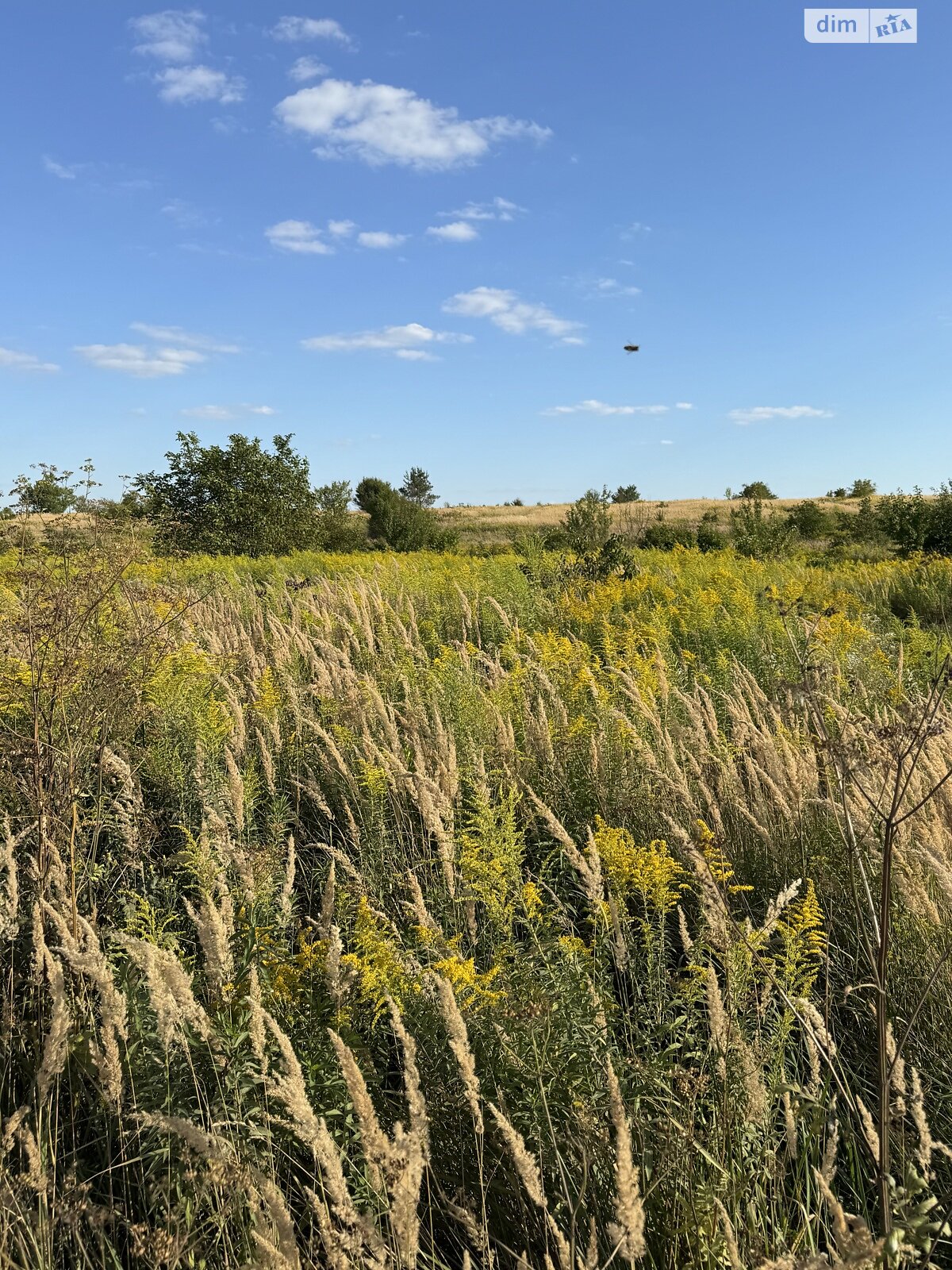 Земля сельскохозяйственного назначения в Ровно, район Ювилейный, площадь 10.16 сотки фото 1