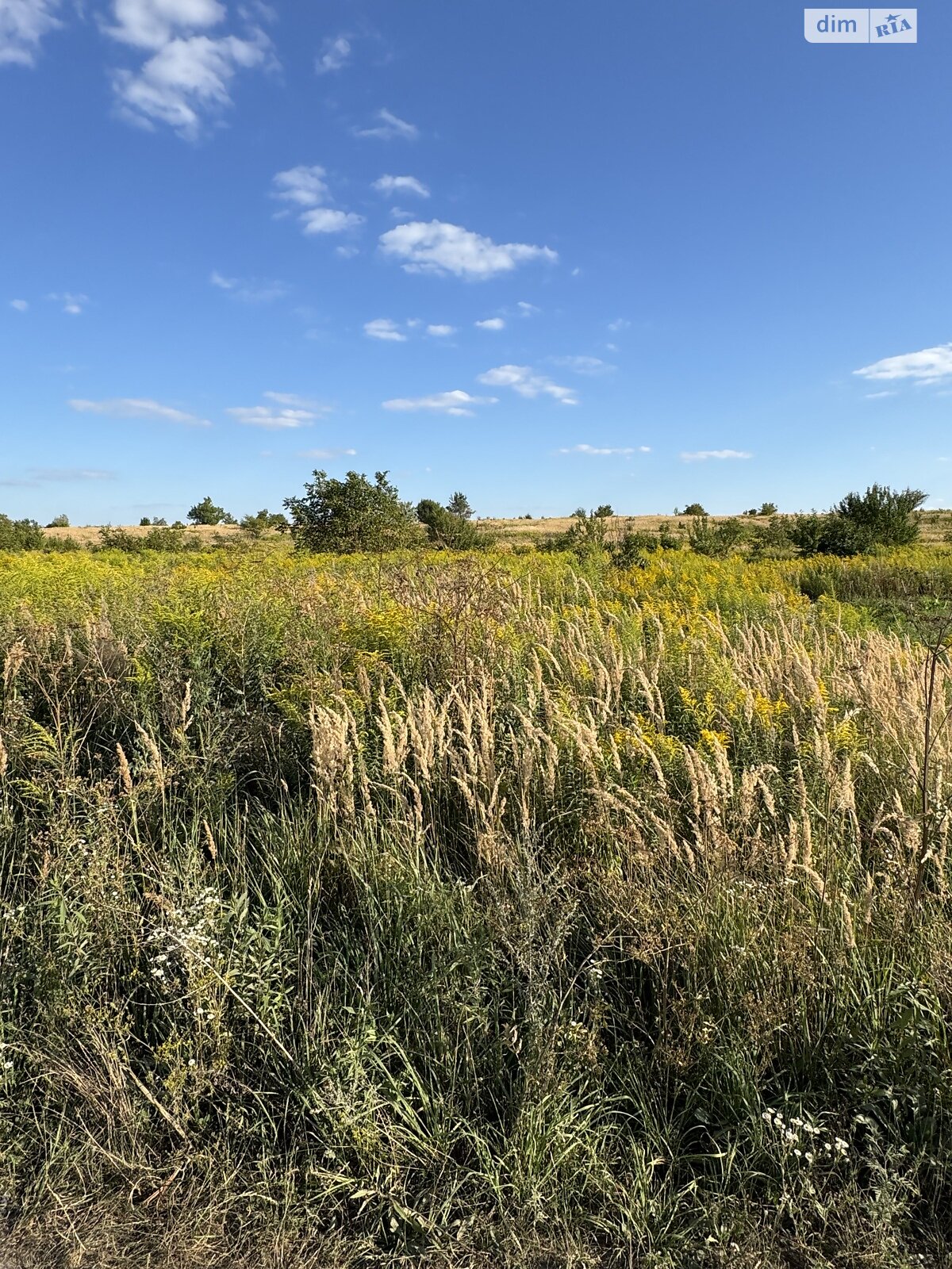 Земля сельскохозяйственного назначения в Ровно, район Ювилейный, площадь 10.16 сотки фото 1