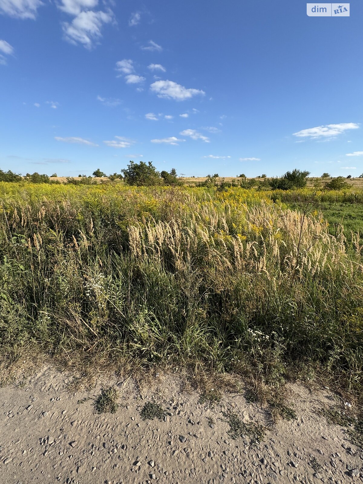 Земля сельскохозяйственного назначения в Ровно, район Ювилейный, площадь 10.16 сотки фото 1
