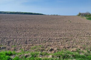 Земельный участок сельскохозяйственного назначения в Ровно, площадь 210 соток фото 2