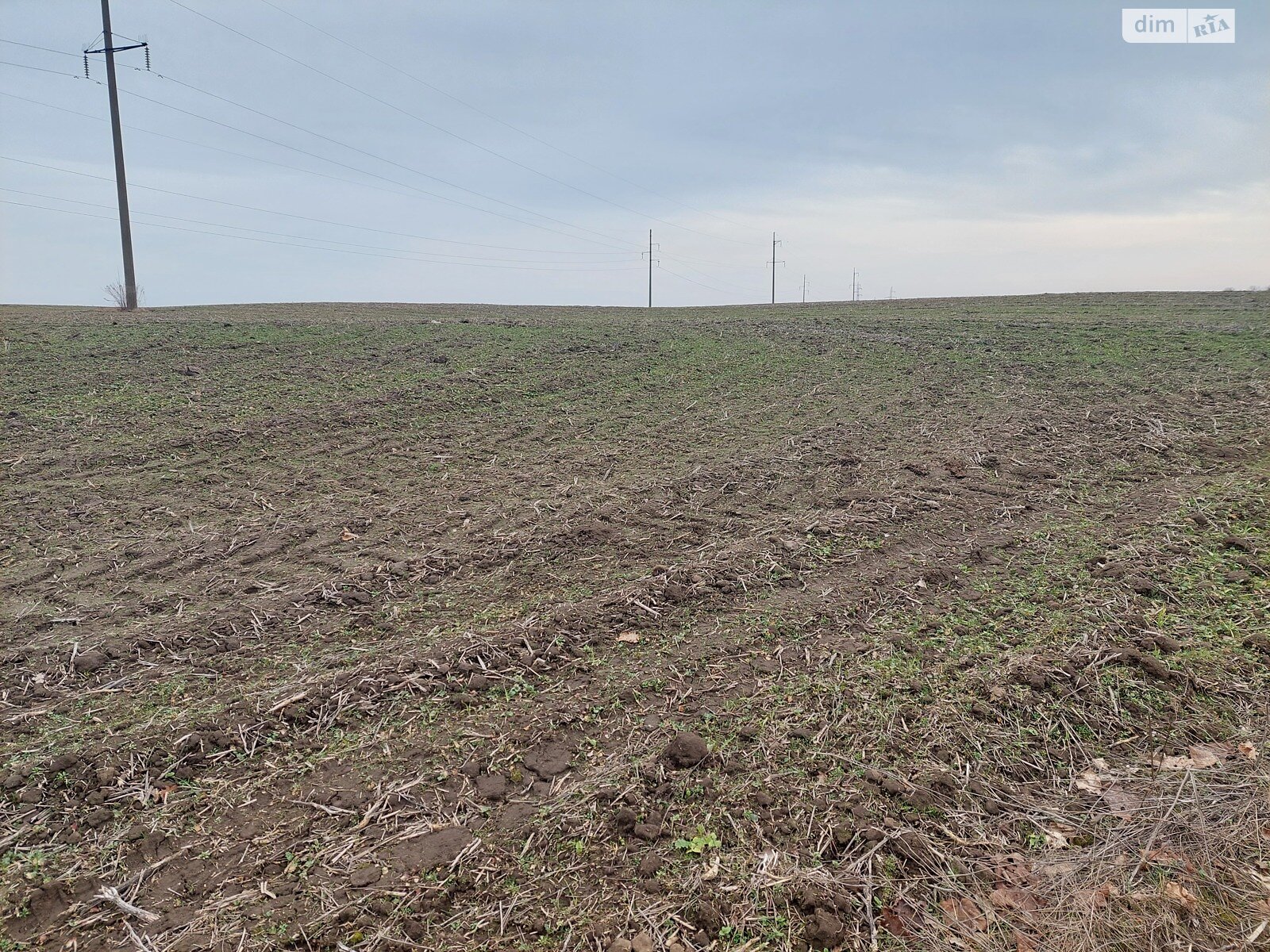Земельный участок сельскохозяйственного назначения в Ровно, площадь 210 соток фото 1