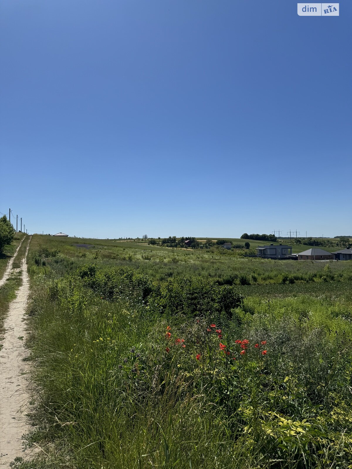 Земельный участок сельскохозяйственного назначения в Ровно, площадь 18.93 сотки фото 1