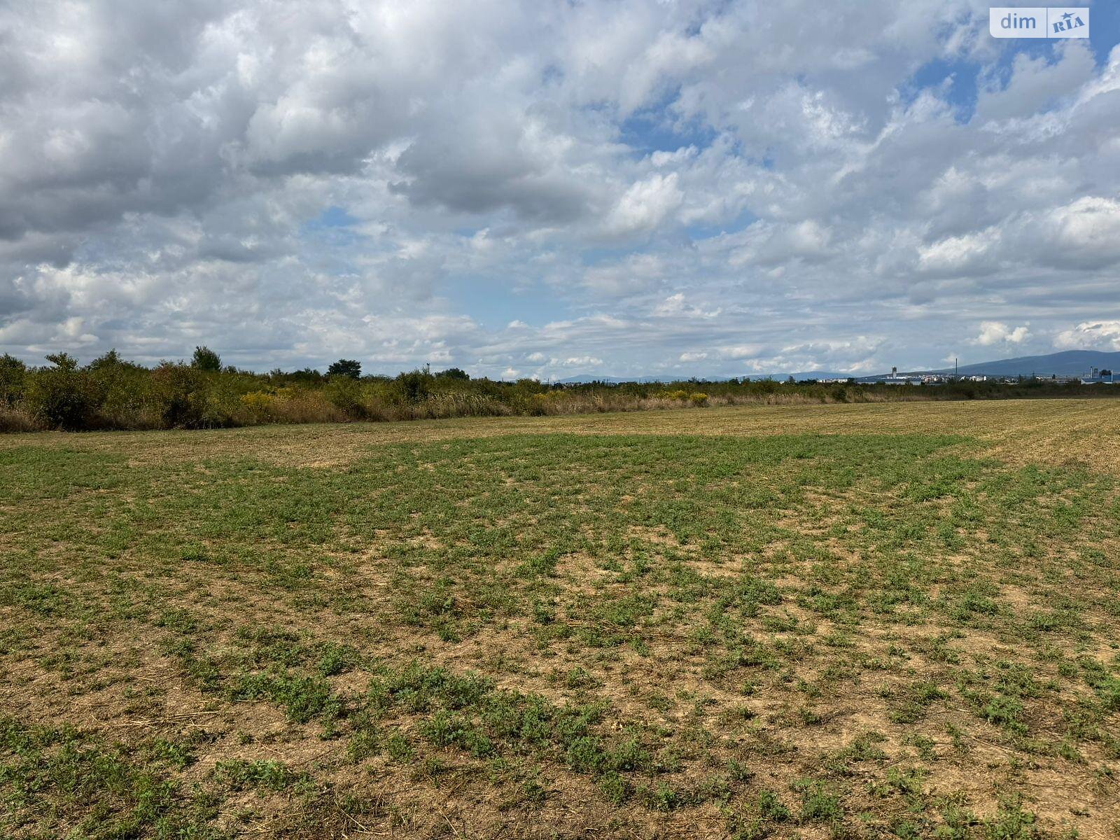 Земельный участок сельскохозяйственного назначения в Розовке, площадь 1.2 Га фото 1
