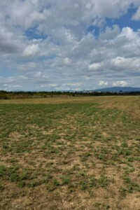 Земельный участок сельскохозяйственного назначения в Розовке, площадь 1.2 Га фото 2