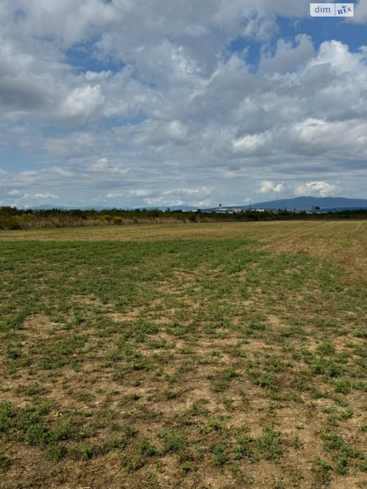 Земельный участок сельскохозяйственного назначения в Розовке, площадь 1.2 Га фото 1