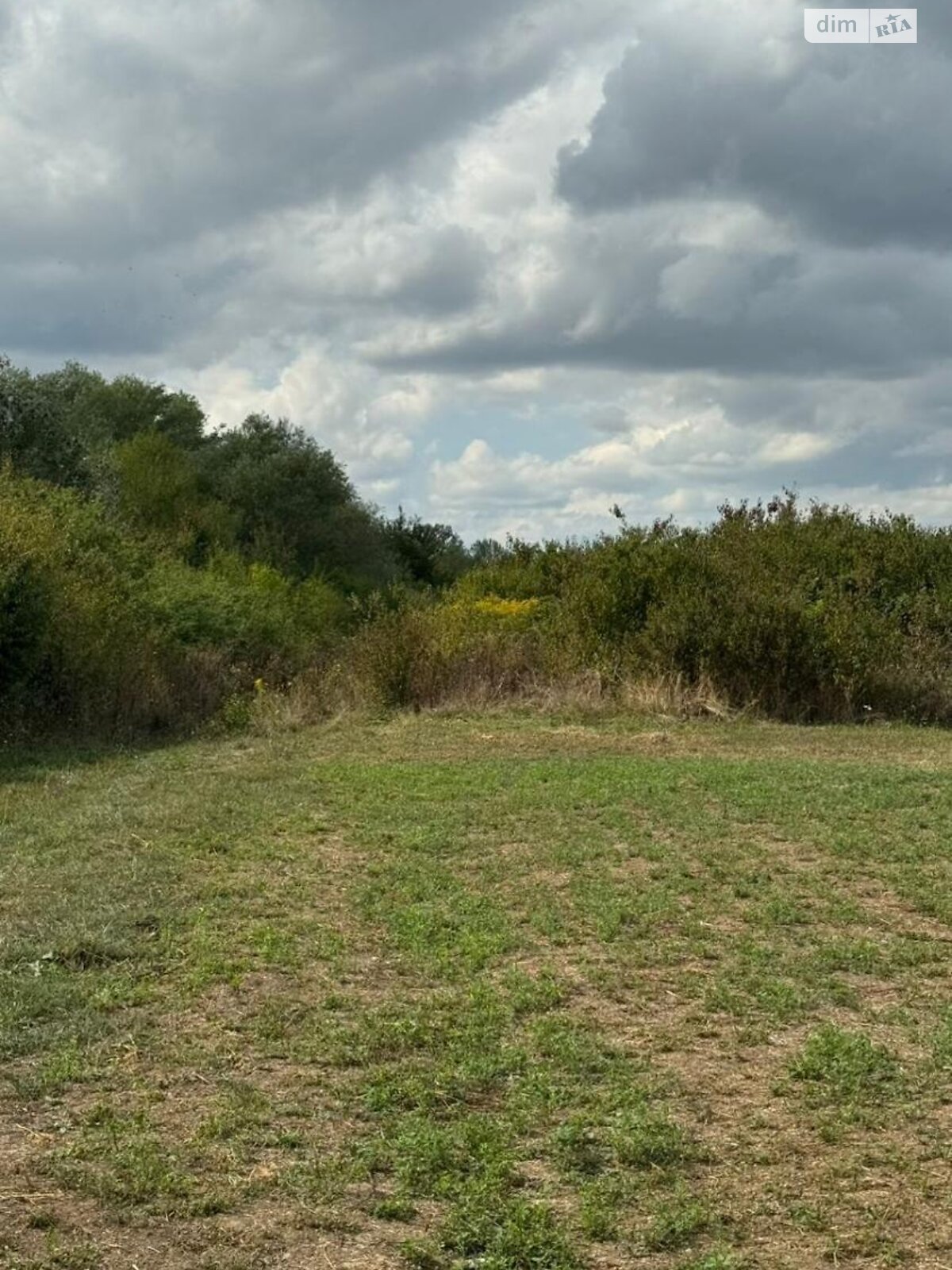 Земельный участок сельскохозяйственного назначения в Розовке, площадь 1.2 Га фото 1