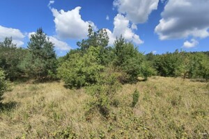 Земельна ділянка сільськогосподарського призначення в Рудківцях, площа 3 сотки фото 2