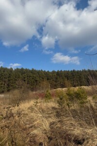 Земельна ділянка сільськогосподарського призначення в Рудному, площа 5.5 сотки фото 2
