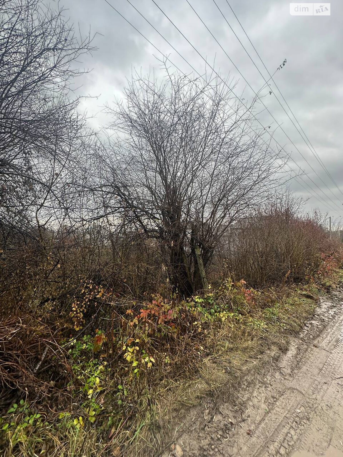 Земельный участок сельскохозяйственного назначения в Рудно, площадь 6 соток фото 1