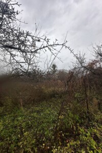 Земельный участок сельскохозяйственного назначения в Рудно, площадь 6 соток фото 2