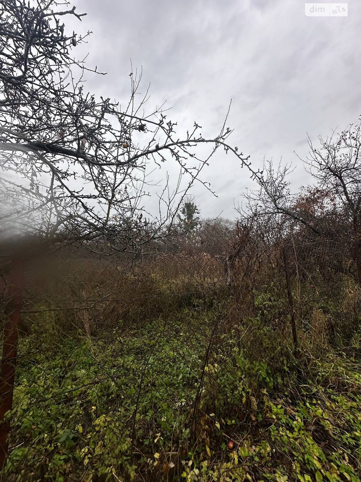 Земельный участок сельскохозяйственного назначения в Рудно, площадь 6 соток фото 1