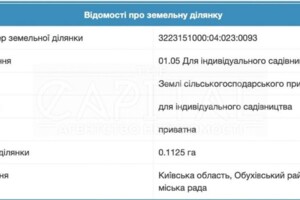 Земельна ділянка сільськогосподарського призначення в Рудиках, площа 11.25 сотки фото 2