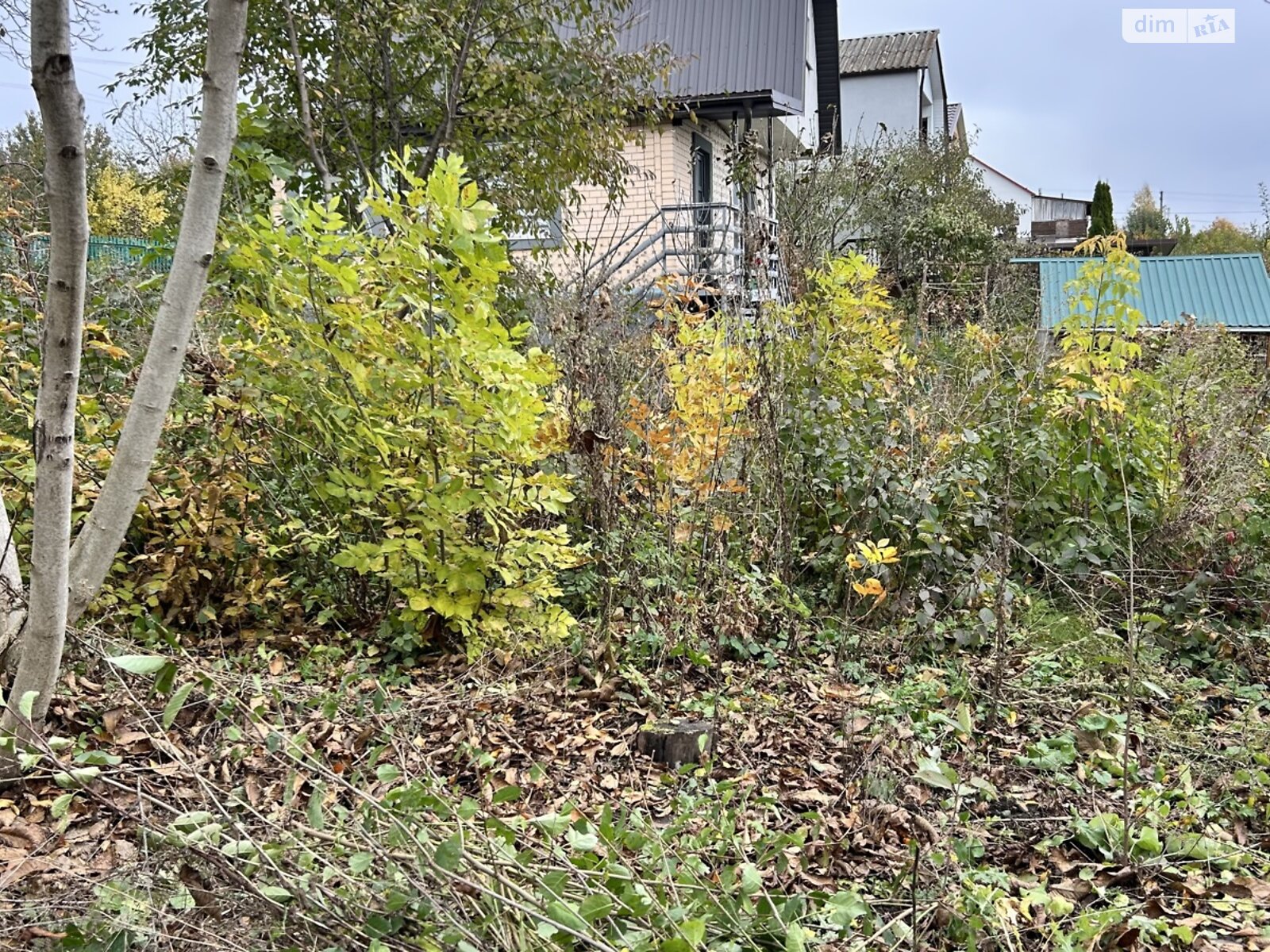 Земельный участок сельскохозяйственного назначения в Ружичанке, площадь 6 соток фото 1 Земельный участок сельскохозяйственного назначения в Ружичанке, площадь 6 соток фото 1