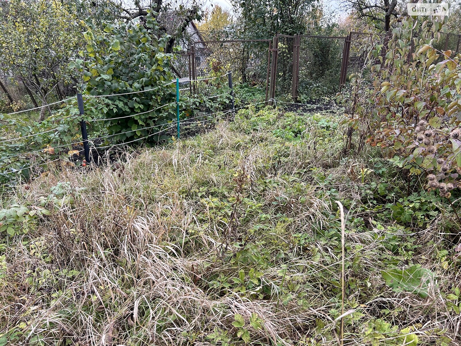 Земельный участок сельскохозяйственного назначения в Ружичанке, площадь 6 соток фото 1 Земельный участок сельскохозяйственного назначения в Ружичанке, площадь 6 соток фото 1