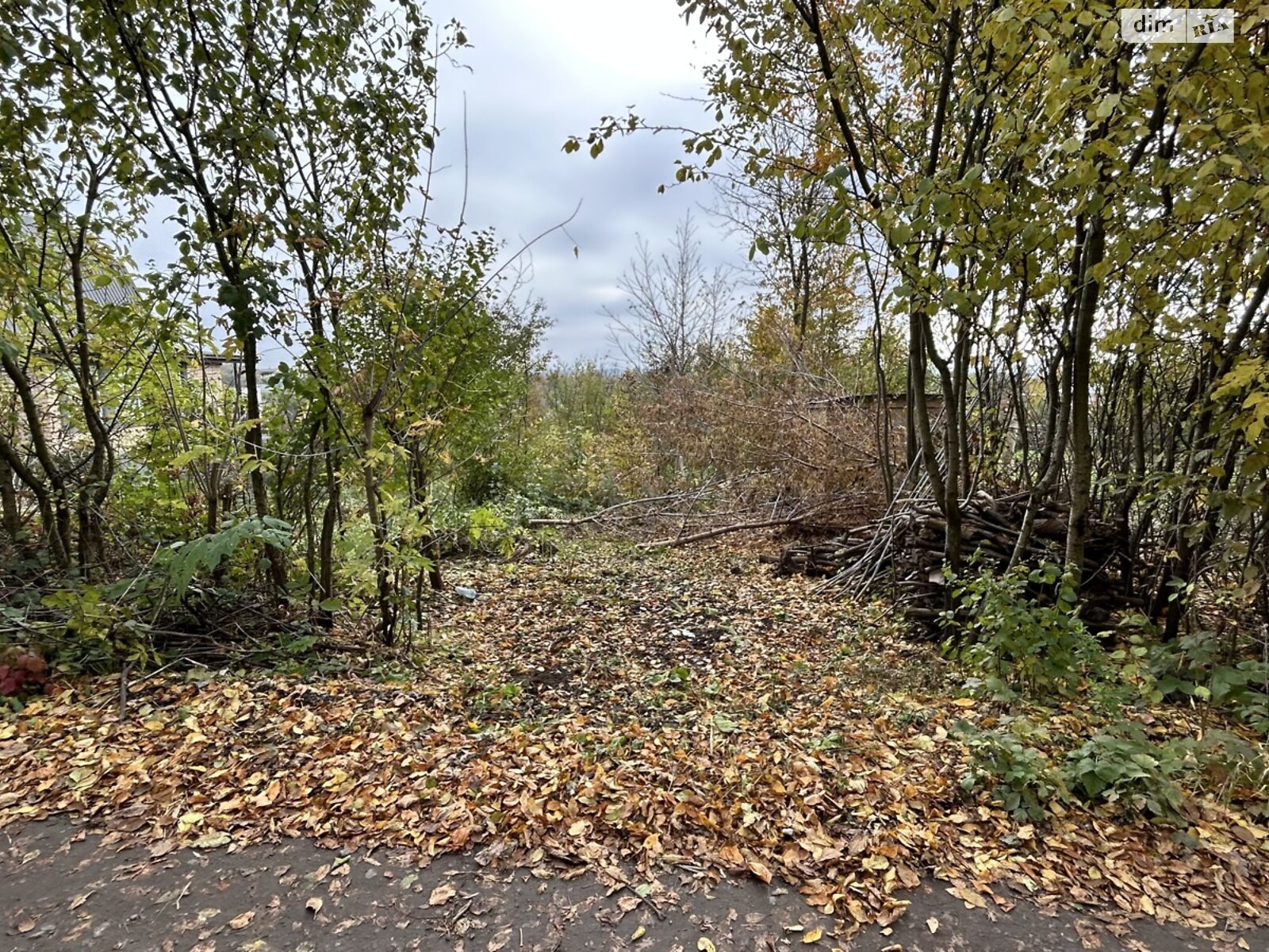 Земельный участок сельскохозяйственного назначения в Ружичанке, площадь 6 соток фото 1 Земельный участок сельскохозяйственного назначения в Ружичанке, площадь 6 соток фото 1