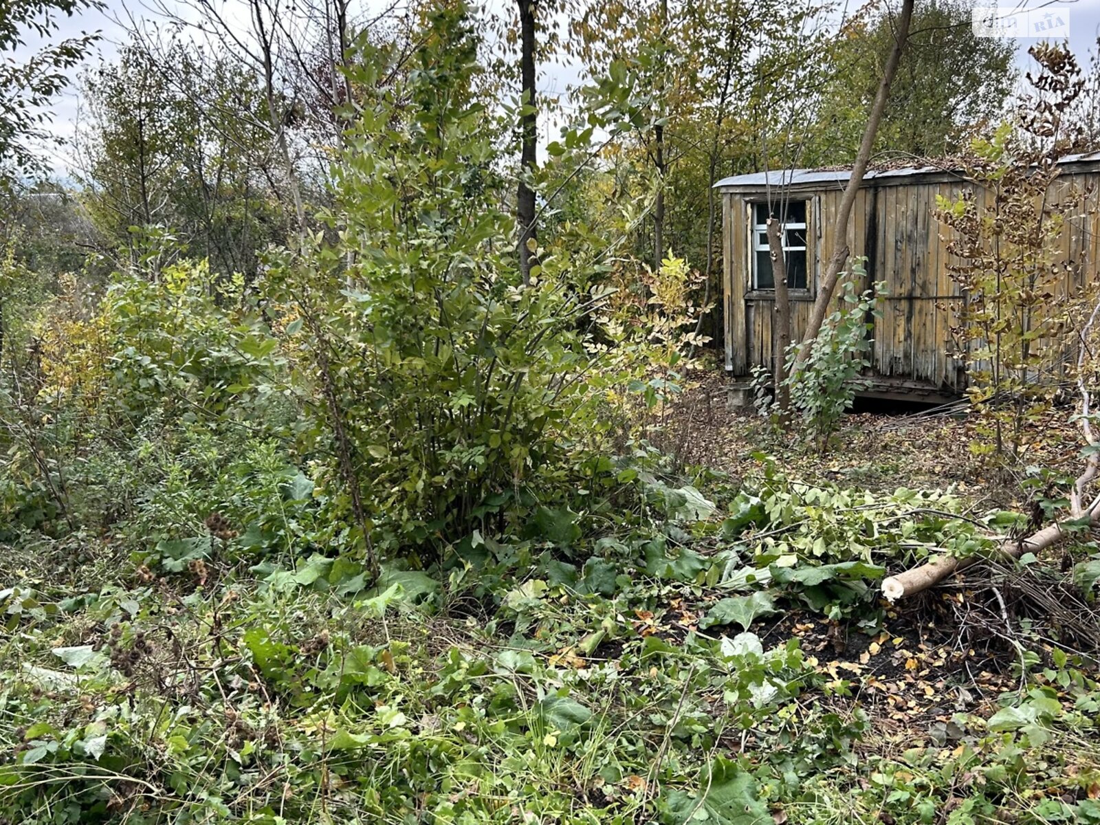 Земельный участок сельскохозяйственного назначения в Ружичанке, площадь 6 соток фото 1 Земельный участок сельскохозяйственного назначения в Ружичанке, площадь 6 соток фото 1