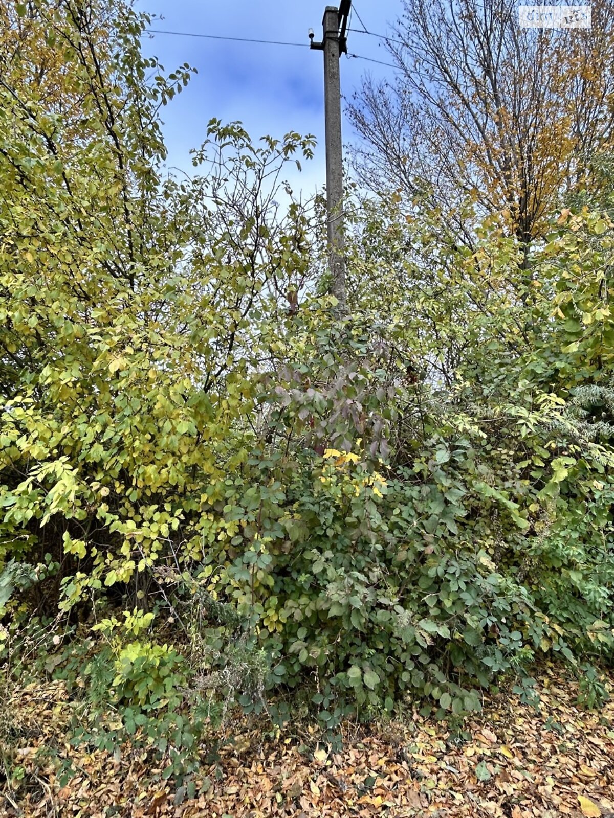 Земельный участок сельскохозяйственного назначения в Ружичанке, площадь 6 соток фото 1 Земельный участок сельскохозяйственного назначения в Ружичанке, площадь 6 соток фото 1