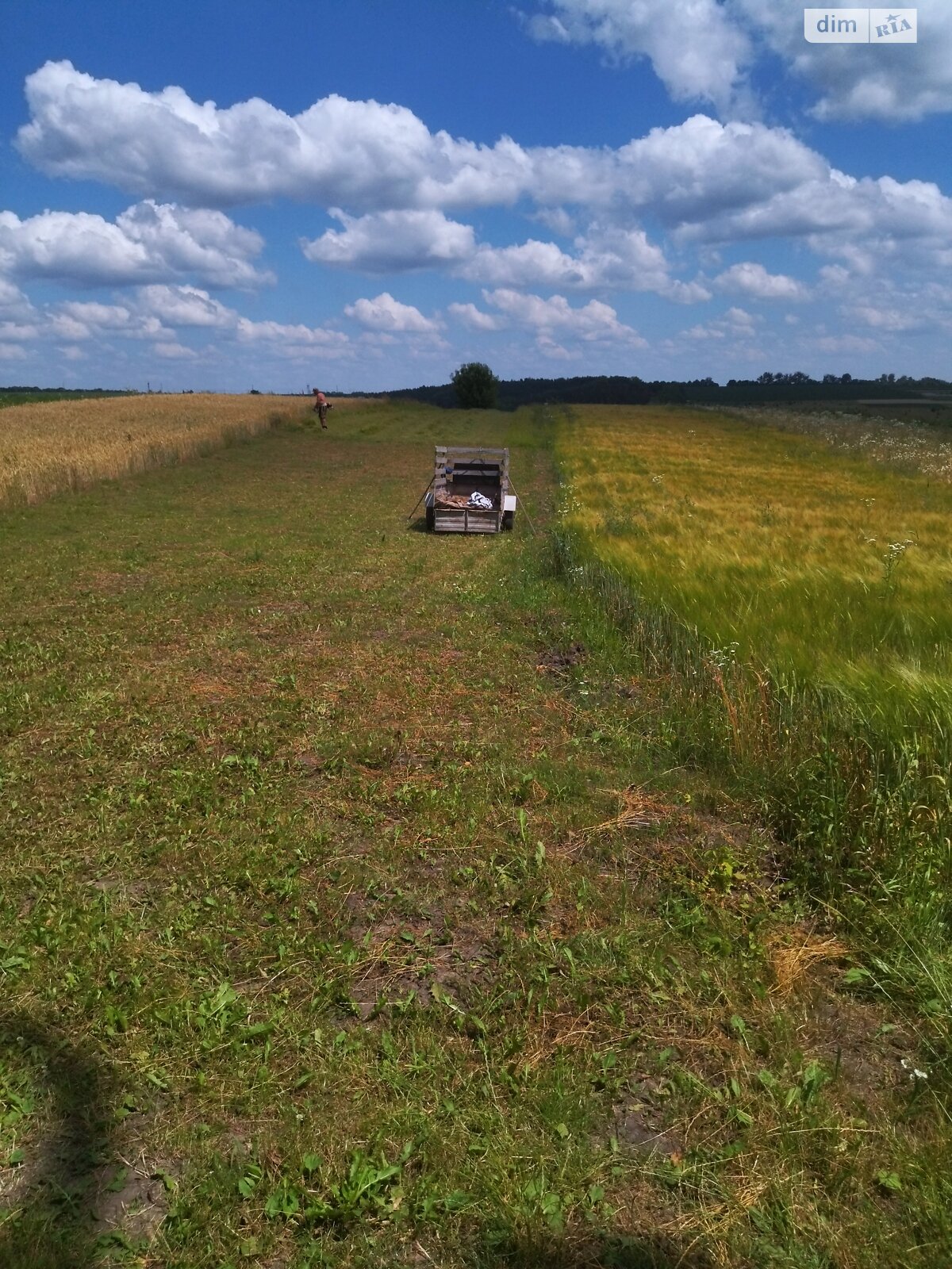 Земельный участок сельскохозяйственного назначения в Ружичанке, площадь 10 соток фото 1