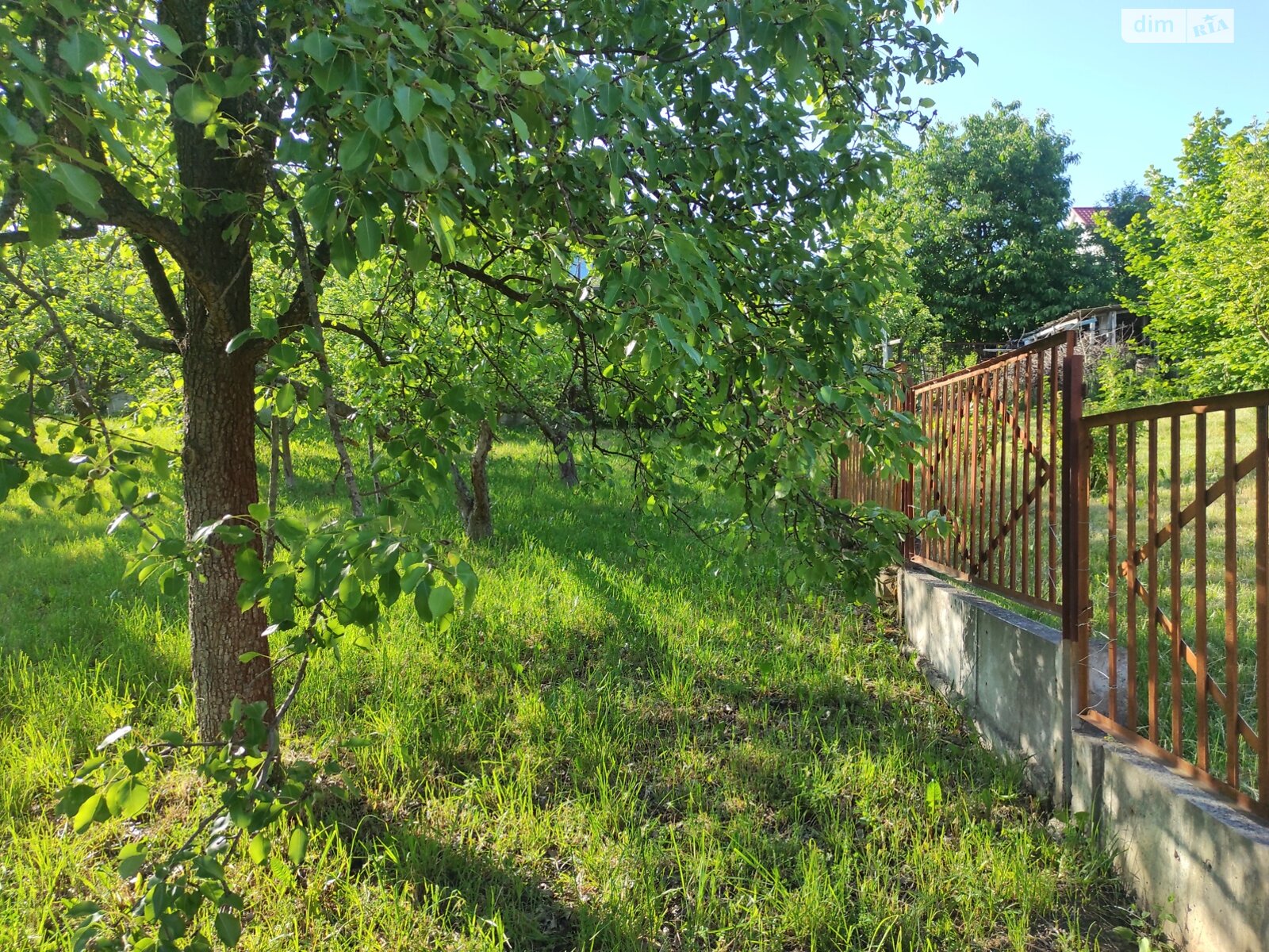 Земельный участок сельскохозяйственного назначения в Ружичанке, площадь 6 соток фото 1