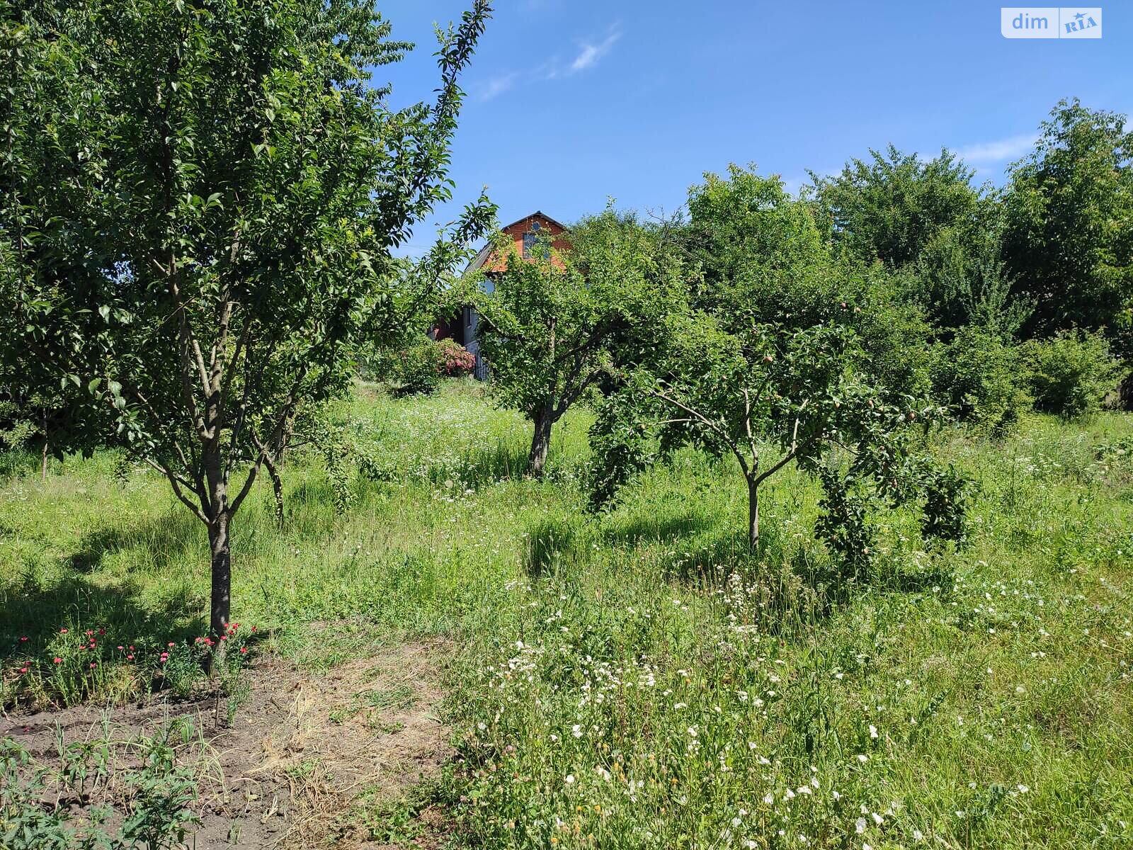 Земельна ділянка сільськогосподарського призначення в Ружичанці, площа 7.5 сотки фото 1