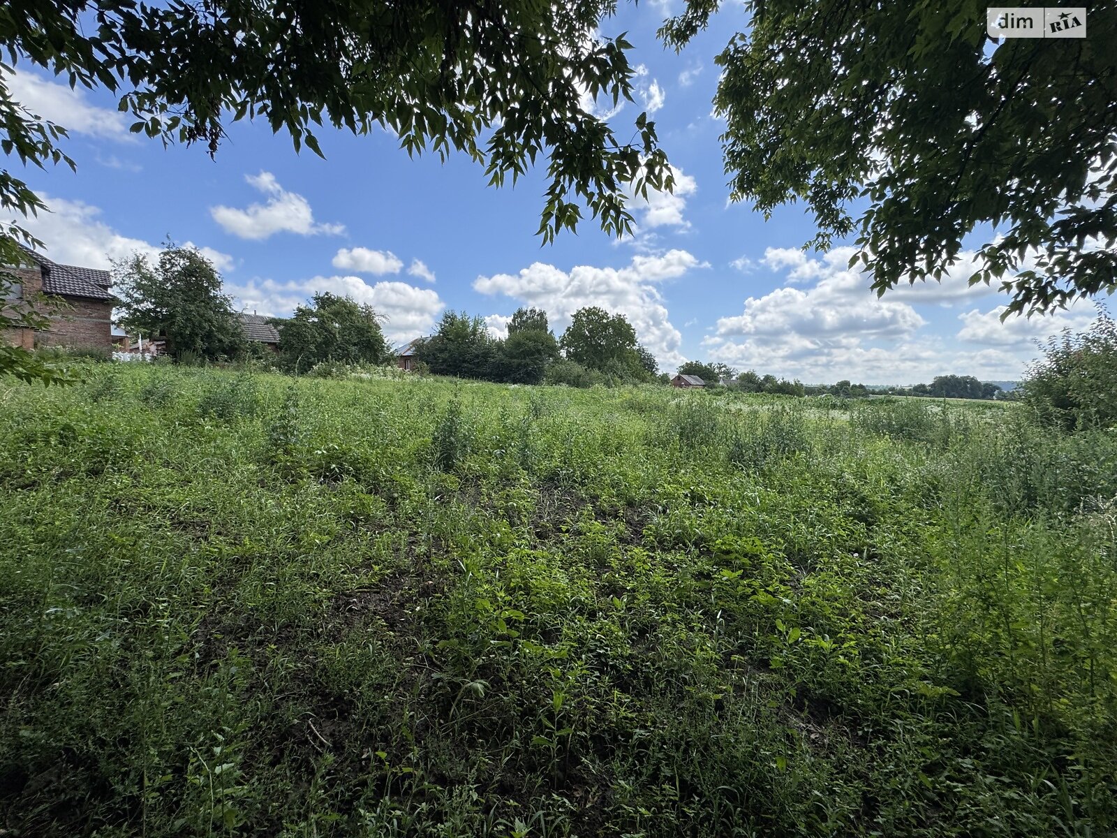Земельный участок сельскохозяйственного назначения в Ружичанке, площадь 18 соток фото 1 Земельный участок сельскохозяйственного назначения в Ружичанке, площадь 18 соток фото 1