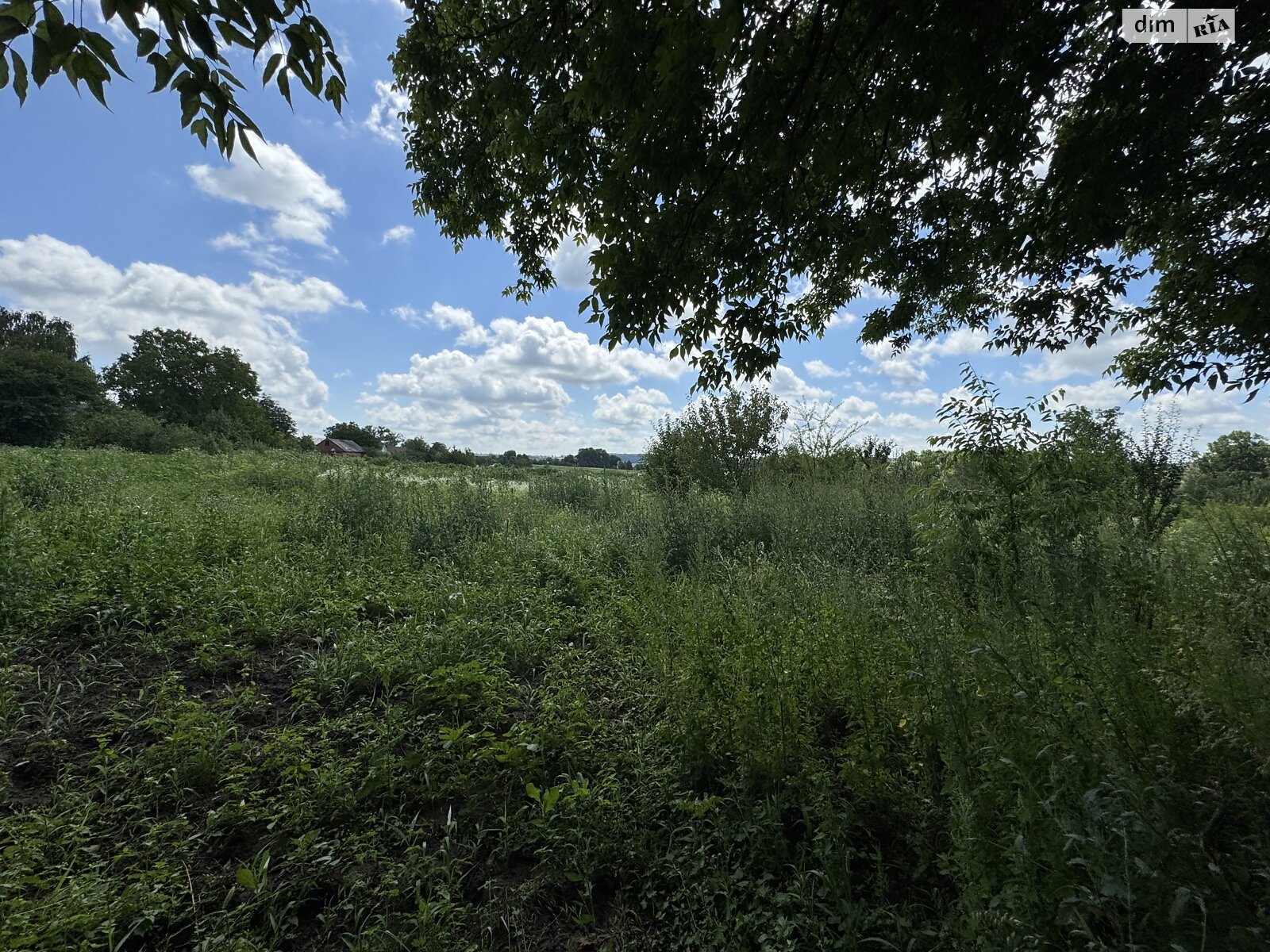 Земельный участок сельскохозяйственного назначения в Ружичанке, площадь 18 соток фото 1 Земельный участок сельскохозяйственного назначения в Ружичанке, площадь 18 соток фото 1