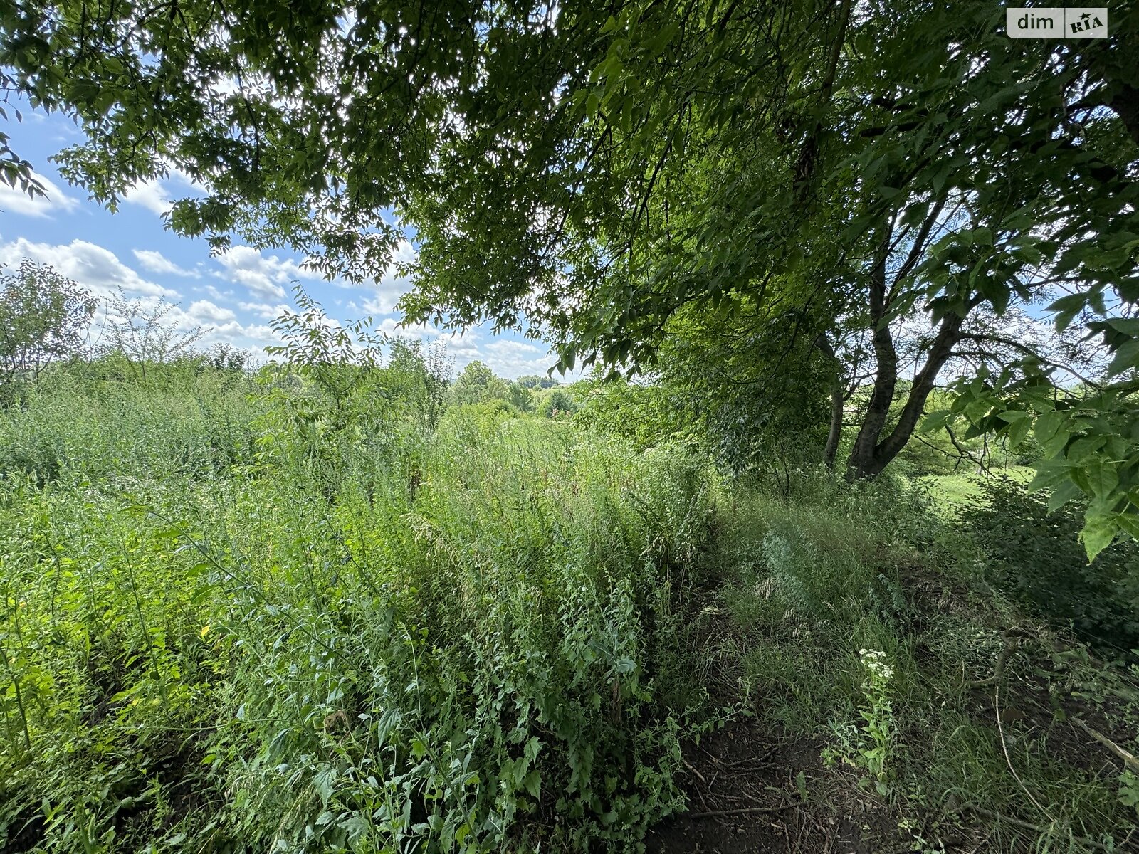 Земельный участок сельскохозяйственного назначения в Ружичанке, площадь 18 соток фото 1 Земельный участок сельскохозяйственного назначения в Ружичанке, площадь 18 соток фото 1
