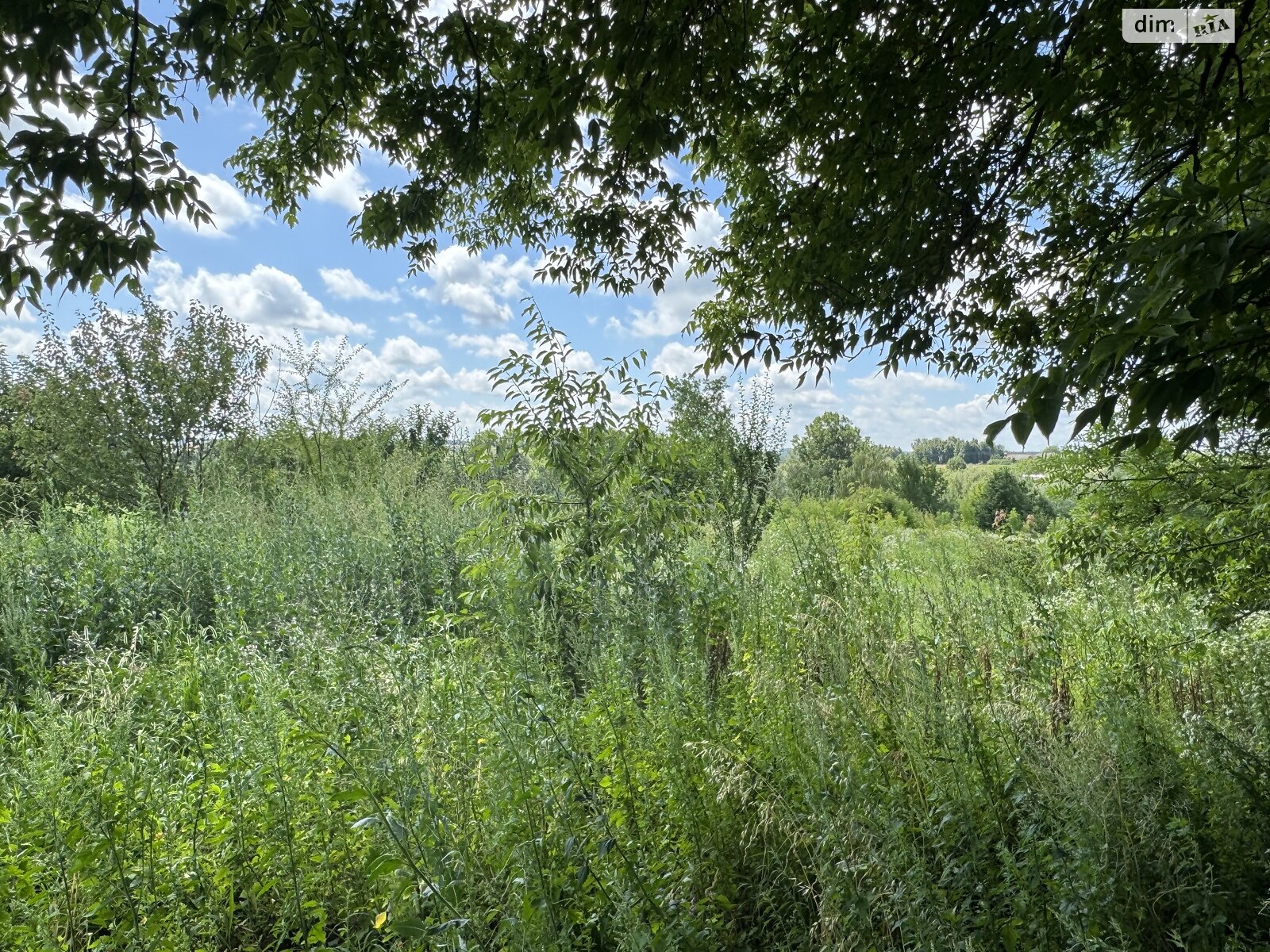 Земельный участок сельскохозяйственного назначения в Ружичанке, площадь 18 соток фото 1 Земельный участок сельскохозяйственного назначения в Ружичанке, площадь 18 соток фото 1