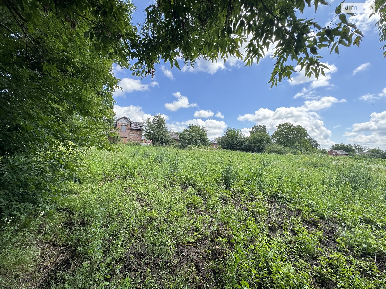 Земельный участок сельскохозяйственного назначения в Ружичанке, площадь 18 соток фото 1 Земельный участок сельскохозяйственного назначения в Ружичанке, площадь 18 соток фото 1