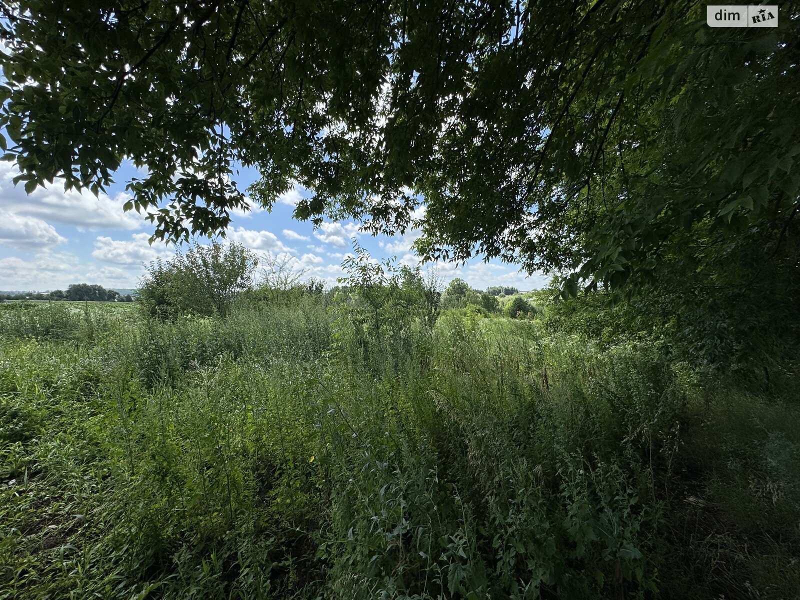 Земельный участок сельскохозяйственного назначения в Ружичанке, площадь 18 соток фото 1 Земельный участок сельскохозяйственного назначения в Ружичанке, площадь 18 соток фото 1